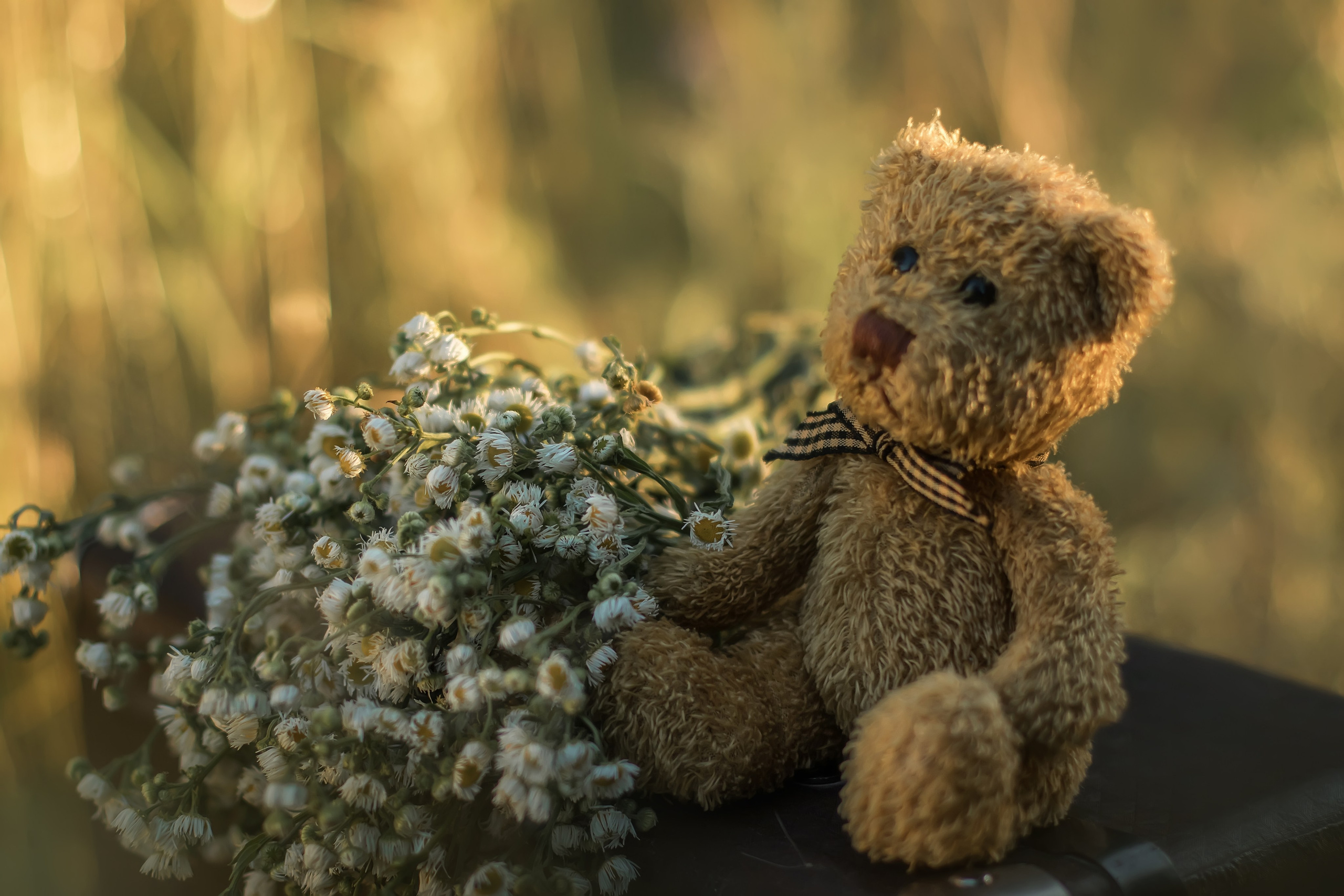 Date. Photographer Yana Galetskaya in Grand Prairie