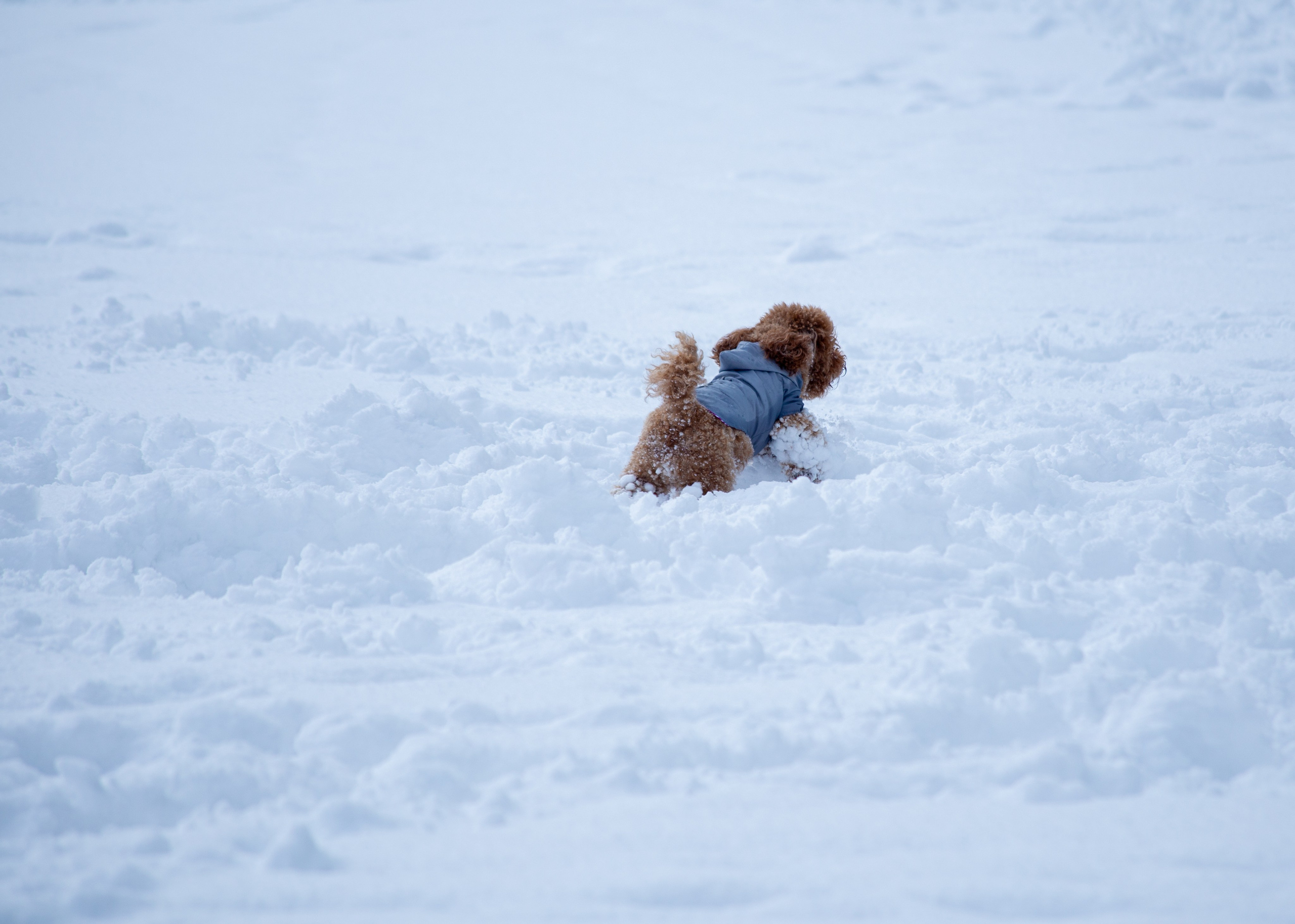 Urban. PHOTOSTORYNIKA