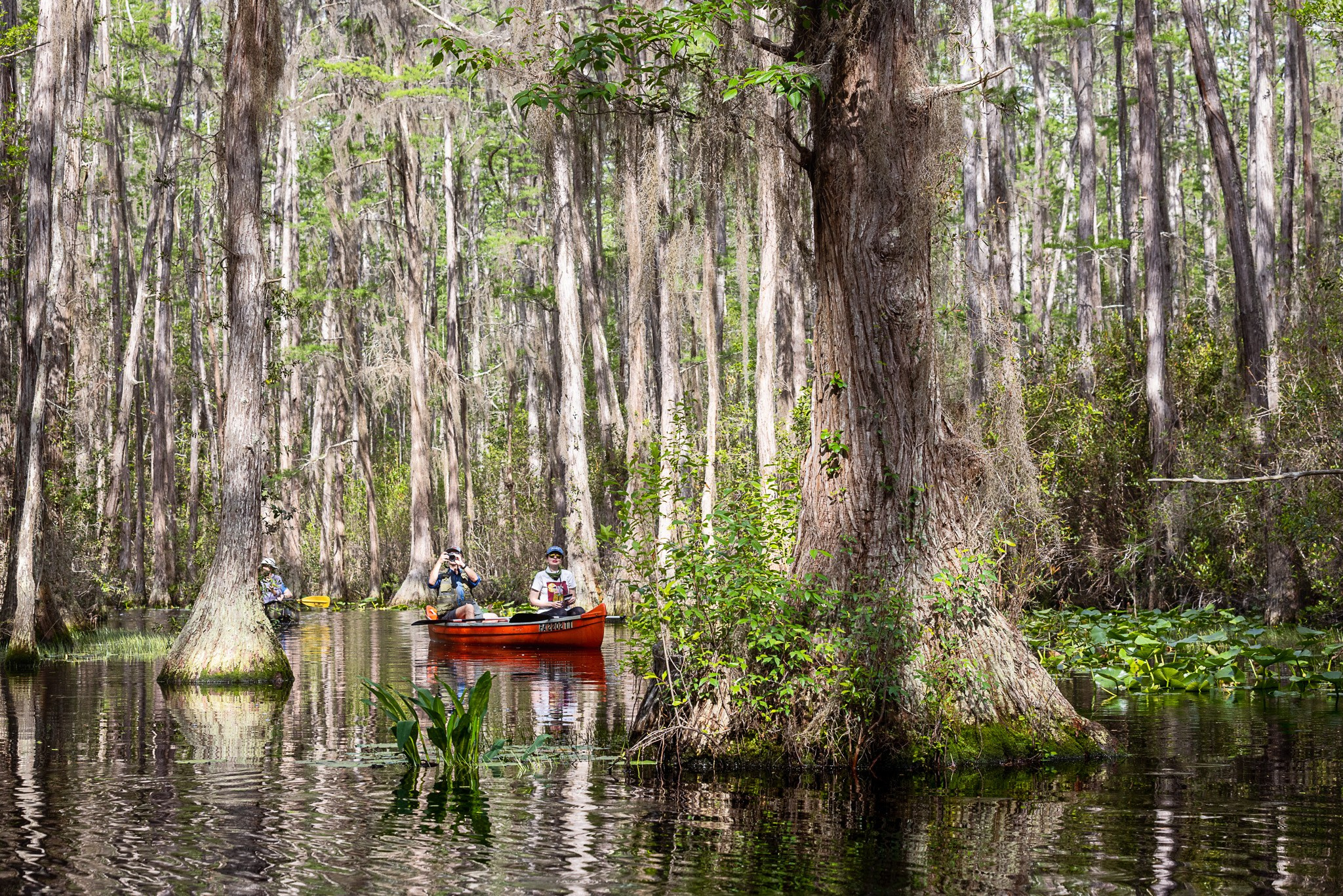 Exploring True Florida: Springs, Rivers & Manatees by Canoe. Pet, Senior, Landscape, portrait studio, photographer in Miami and Sou
