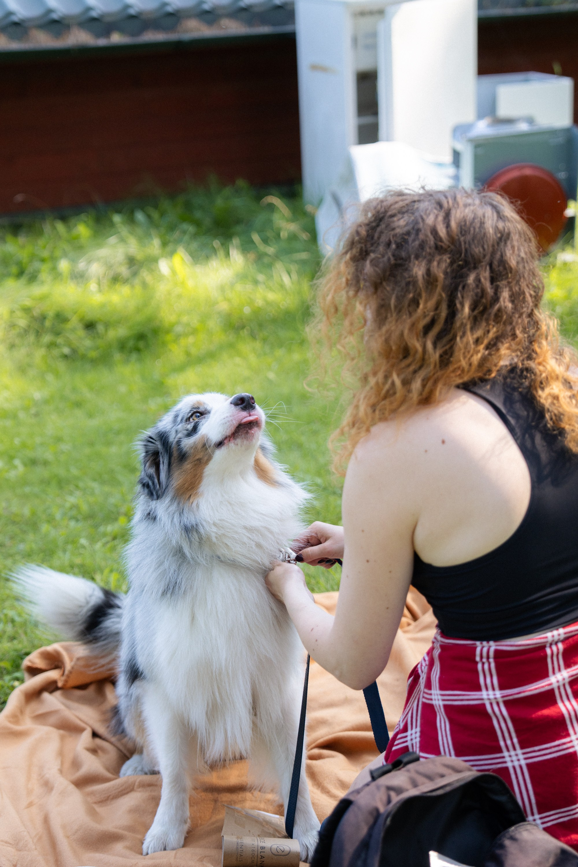 Heppi Dogo fest 2025. Vita Klimaševska ○ Fluffy Soulmate Photography