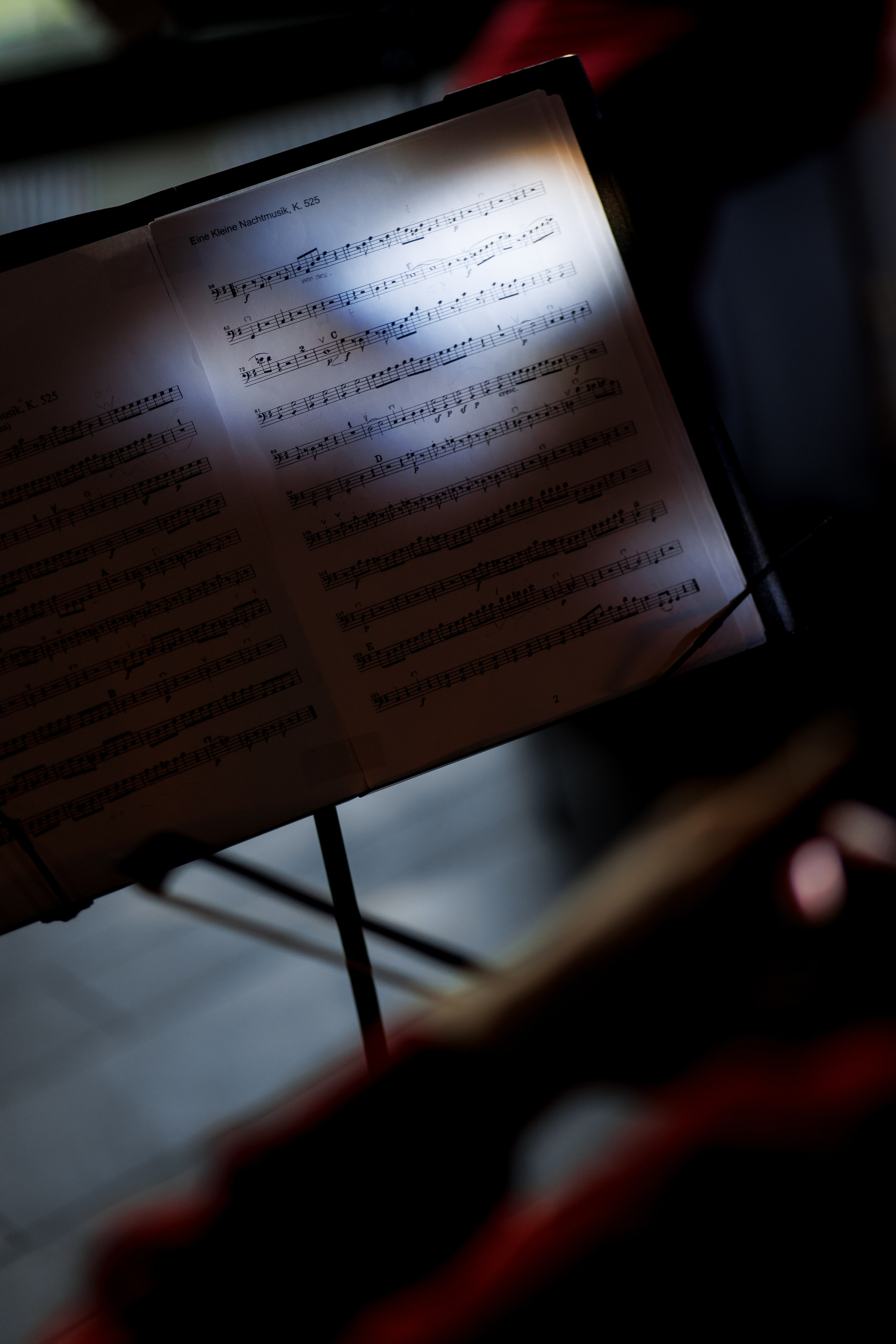 10 Years of Wooden Fire Restaurant. Свадебный фотограф Каледич Тимофей