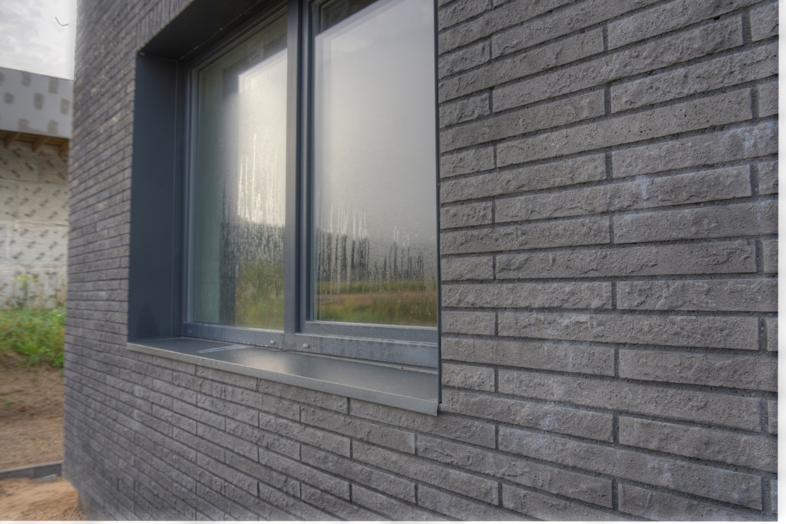 Debesų g. 4, Salotė. Elina Sapiega fotografė Vilniuje