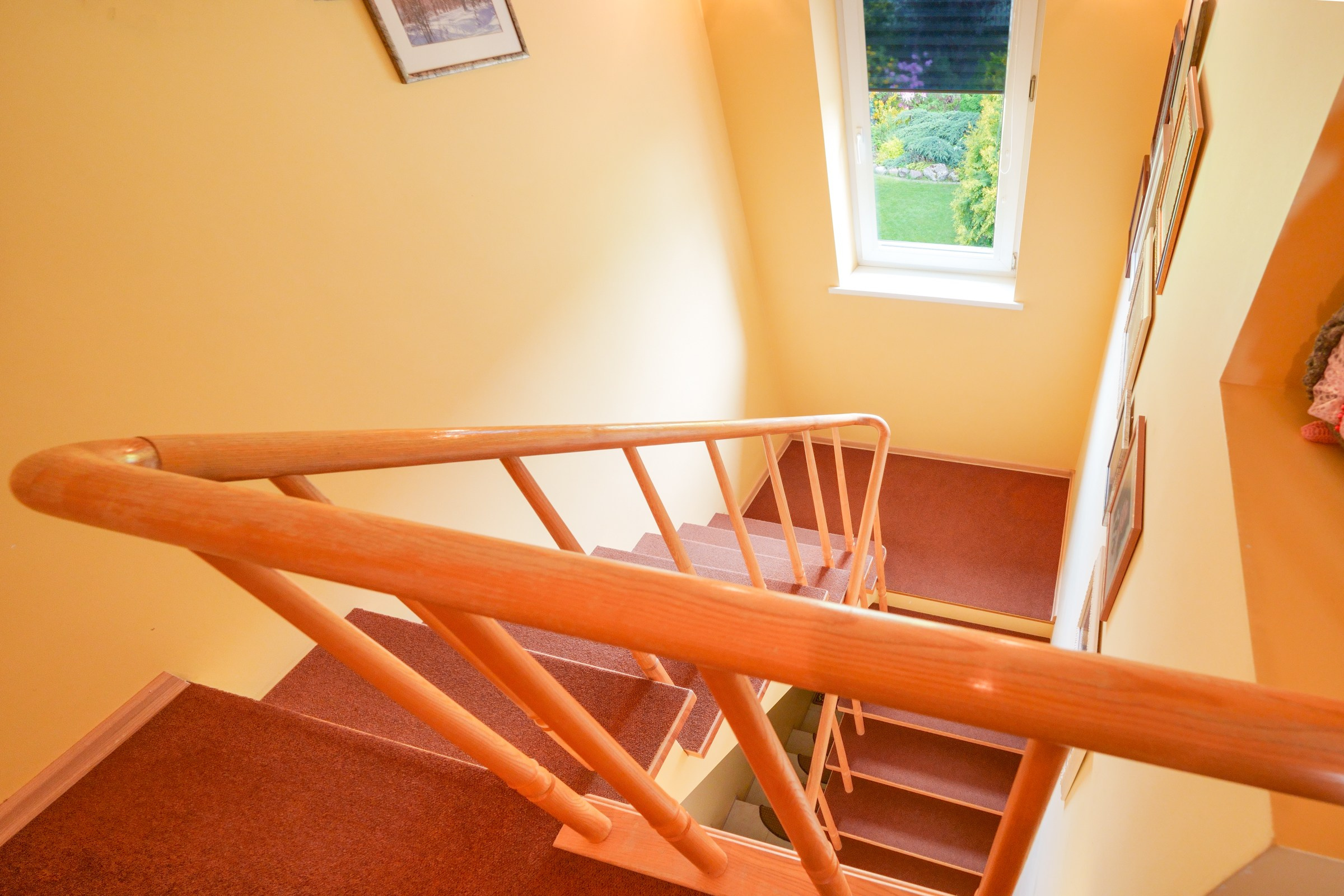 Viršupio sodų 1-oji. Elina Sapiega fotografė Vilniuje