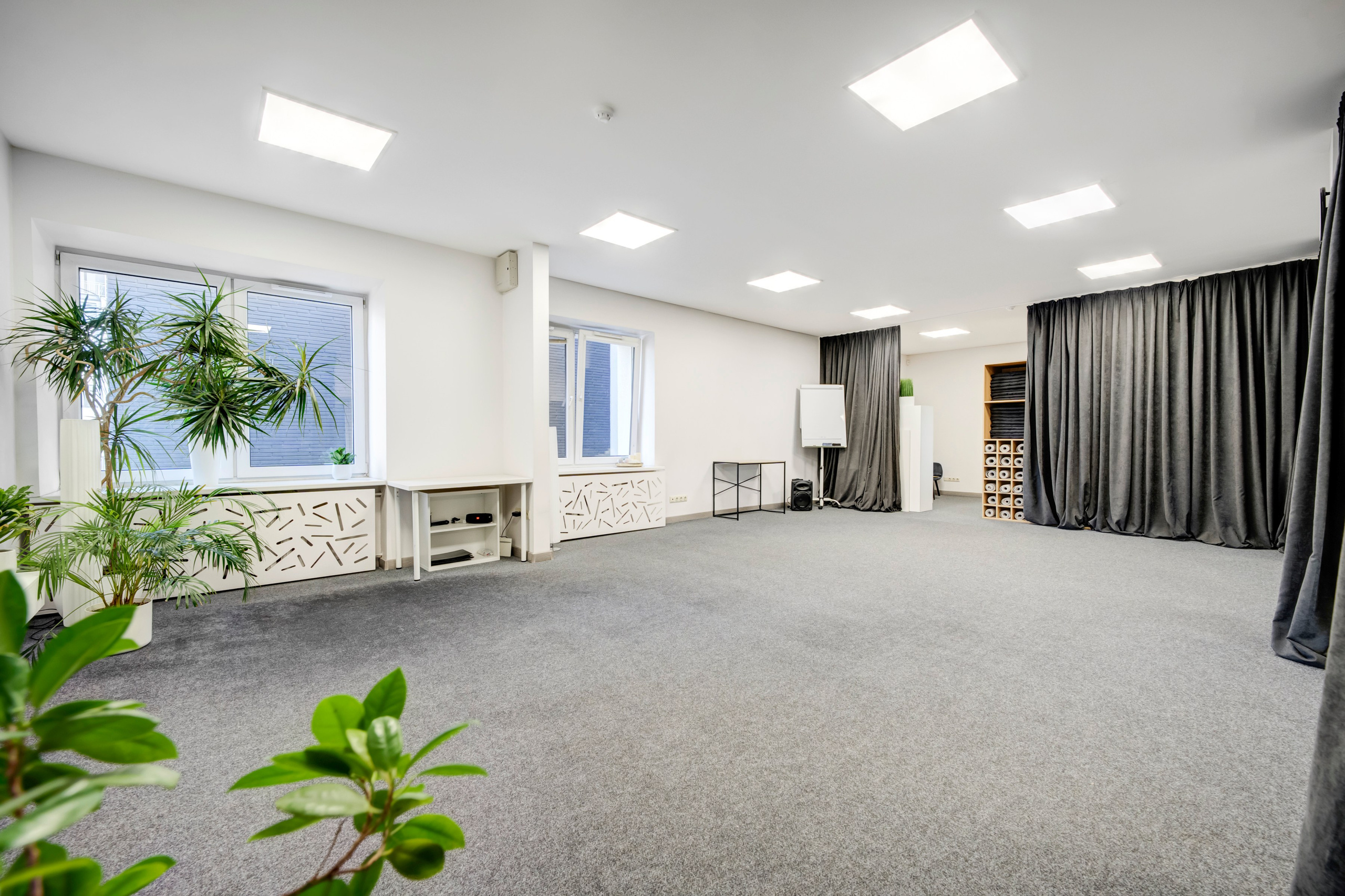 Saltoniškių g. 31. Elina Sapiega fotografė Vilniuje