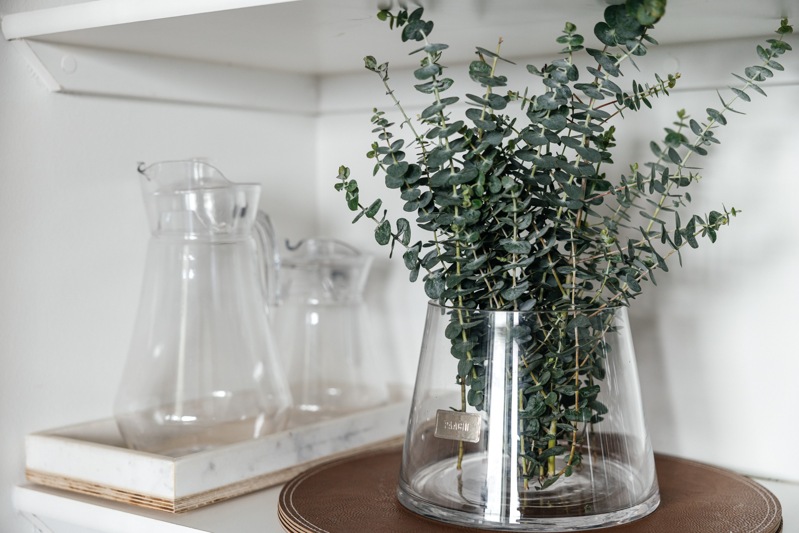 Flippant Apartments. Photographer Andrei White