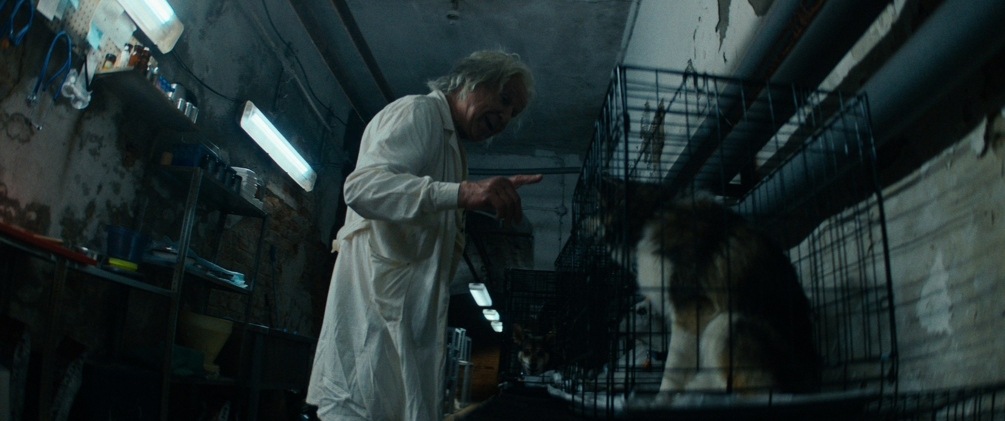Doctor Gaf | Film. Ilia Ivanov
