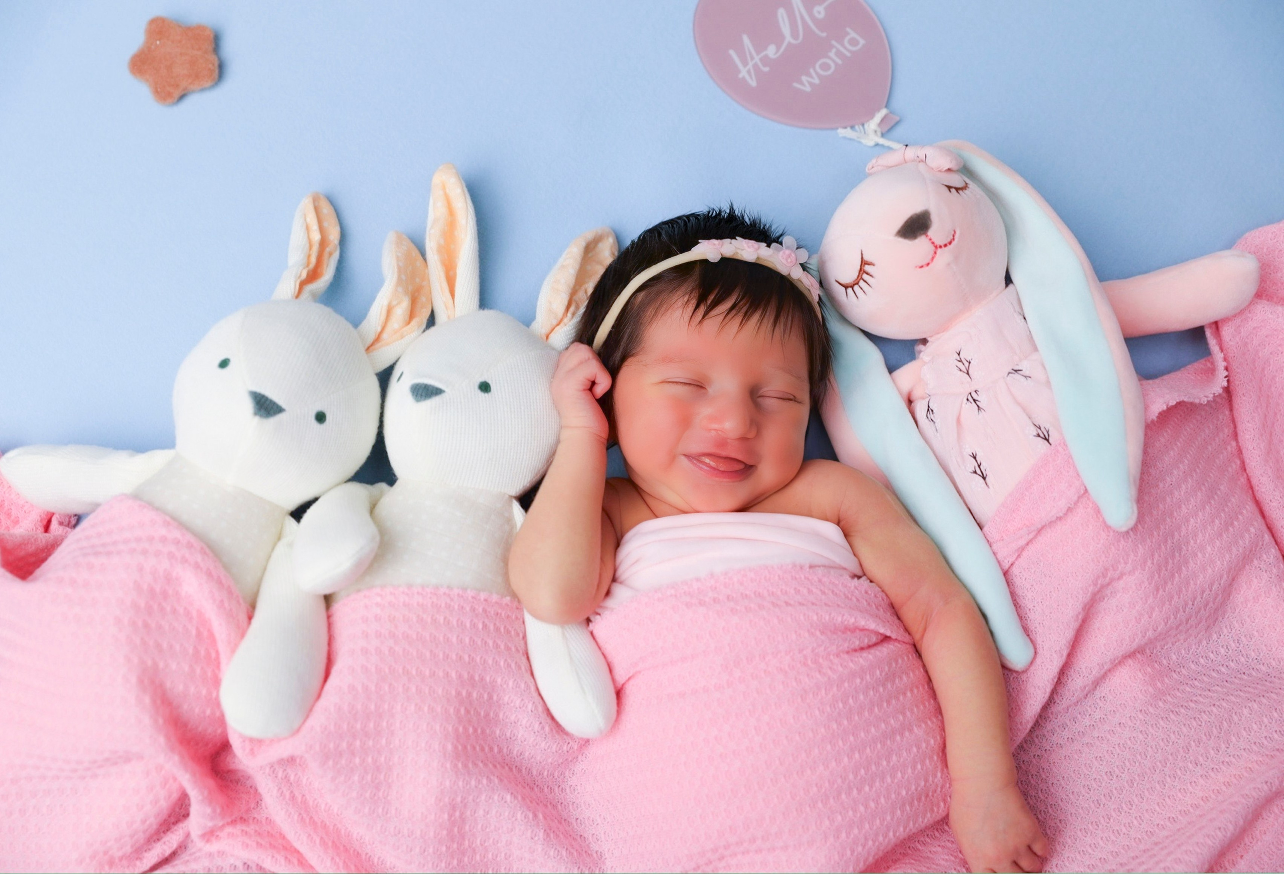 Pricing. AP Lens Photography | Newborn, Maternity, Milestone & Family Photographer Little Elm TX