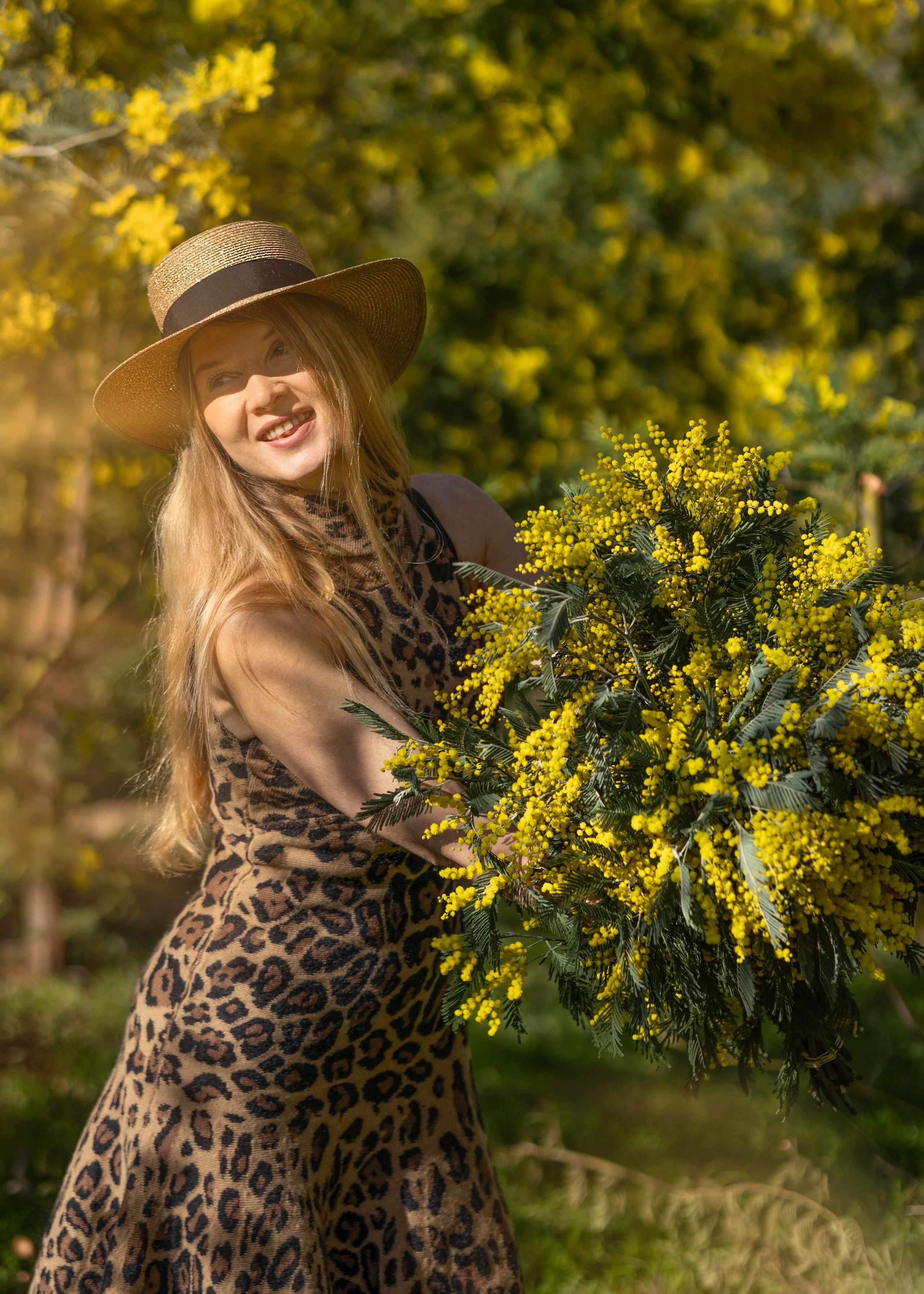 Mimosa. Photographer in Munich