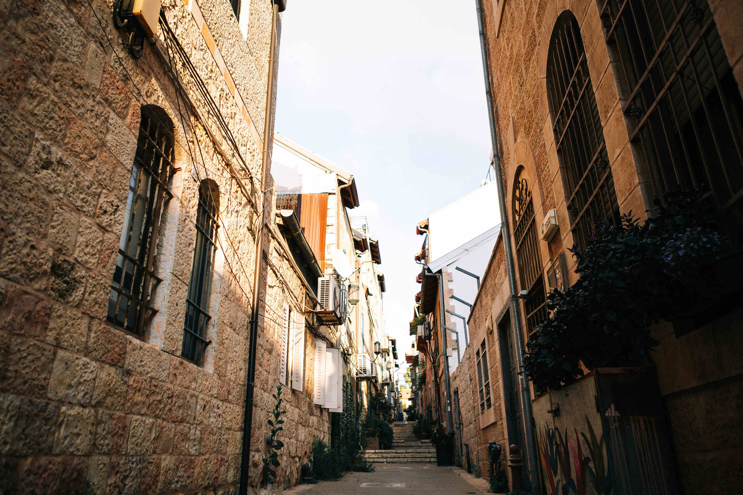 SWEET MORNING. PHOTOGRAPHER IN ISRAEL