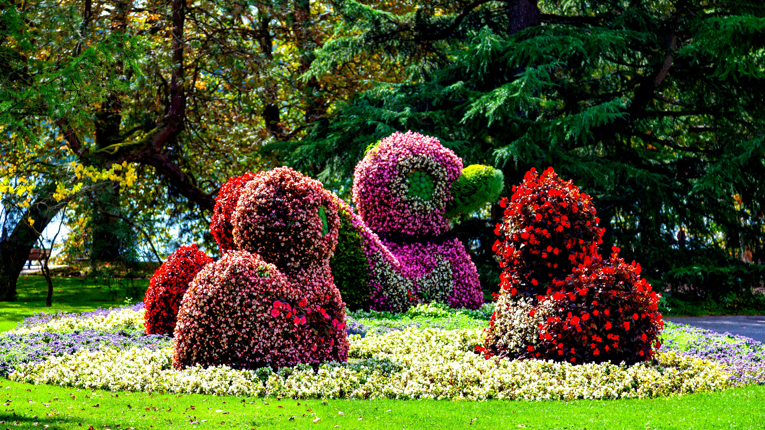 187.Mainau.Germany.24.9.2024. Путешествия в формате 360......
