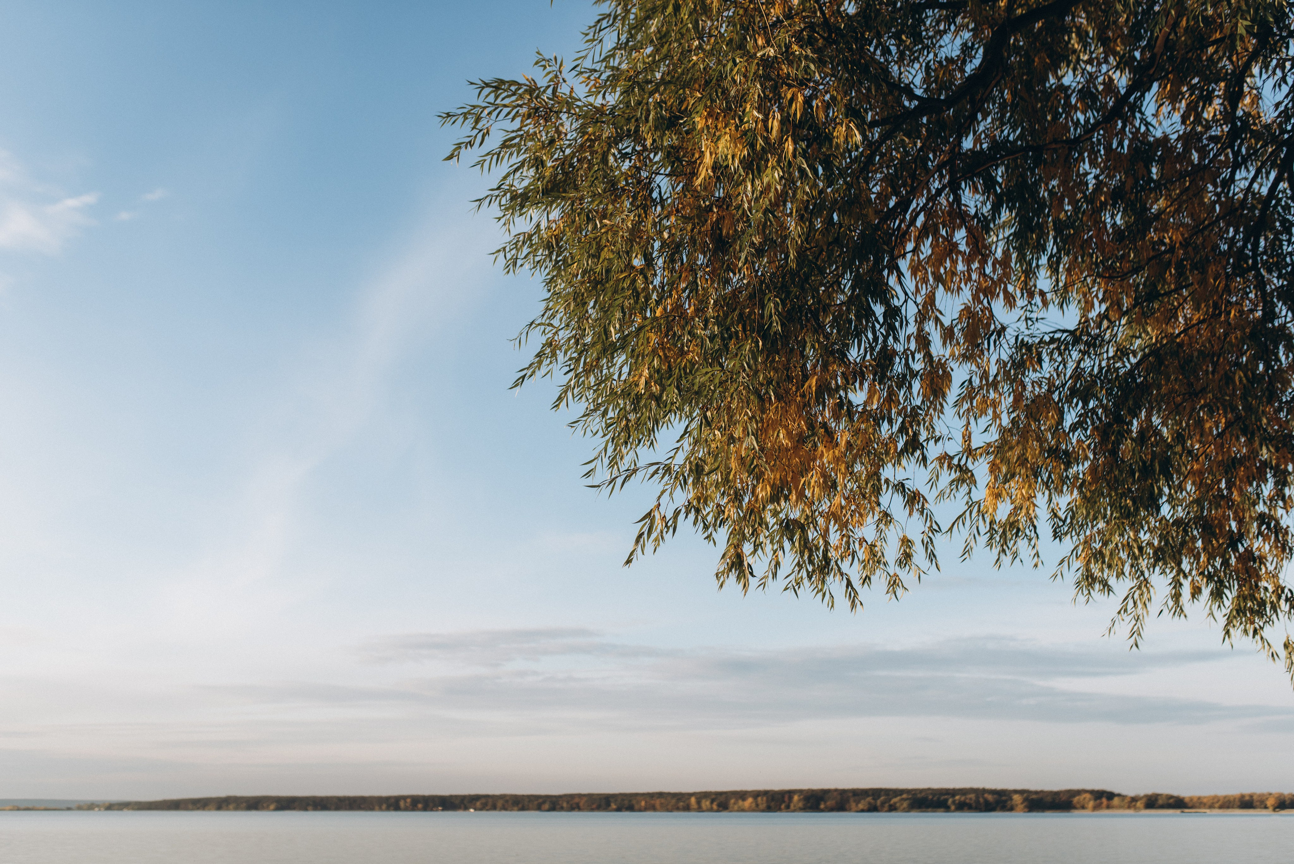 Tatjana & Mila. Familien- und Hochzeitsfotografin. Ich arbeite in Koblenz und Rheinlan
