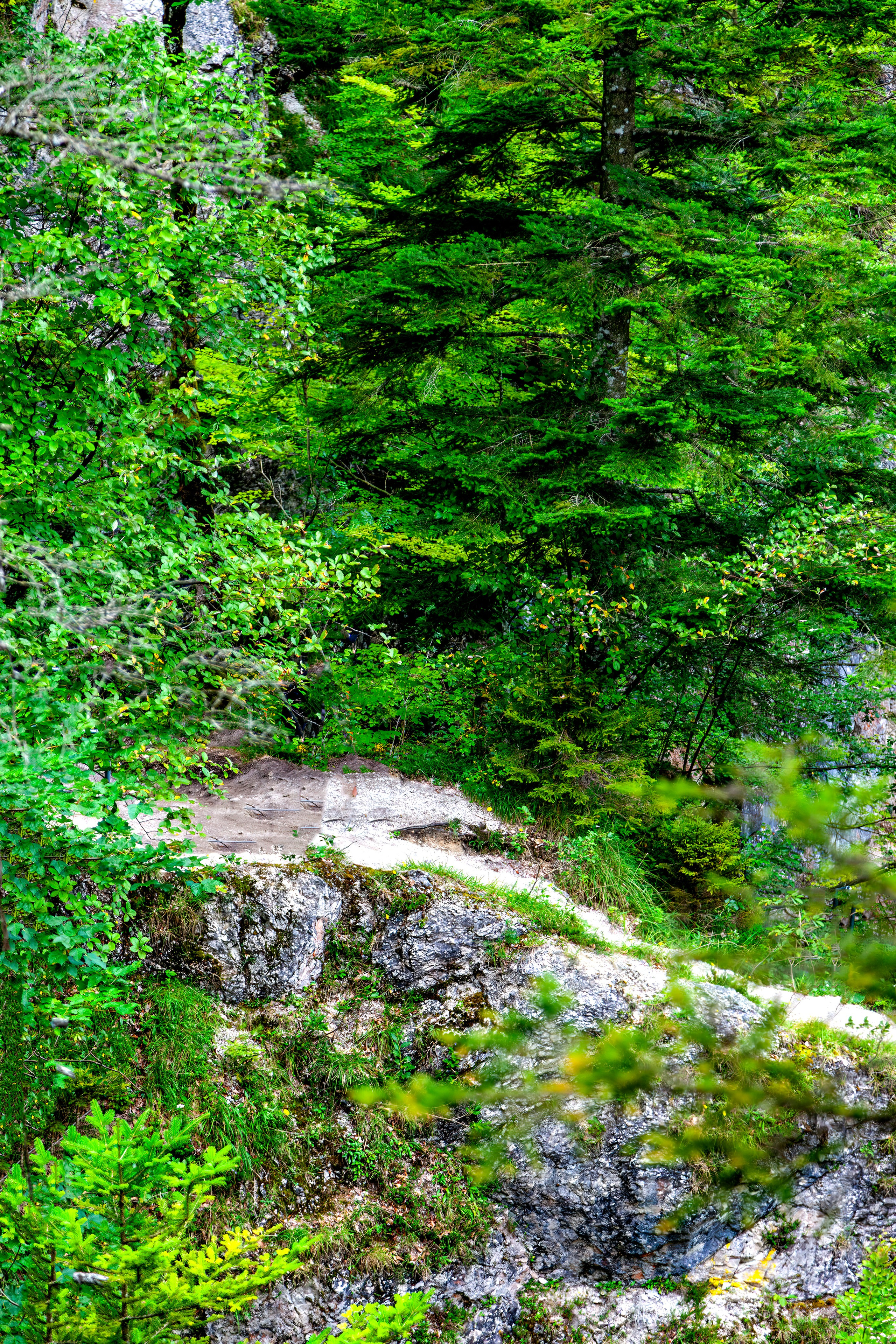 197.Ötscher Base Nature Park.Austria.21.8.2025. Путешествия в формате 360......