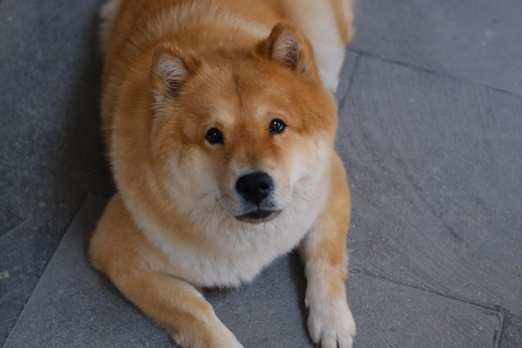 Dany & Rui / Tepoztlan. Wedding and family photographer in Mexico City