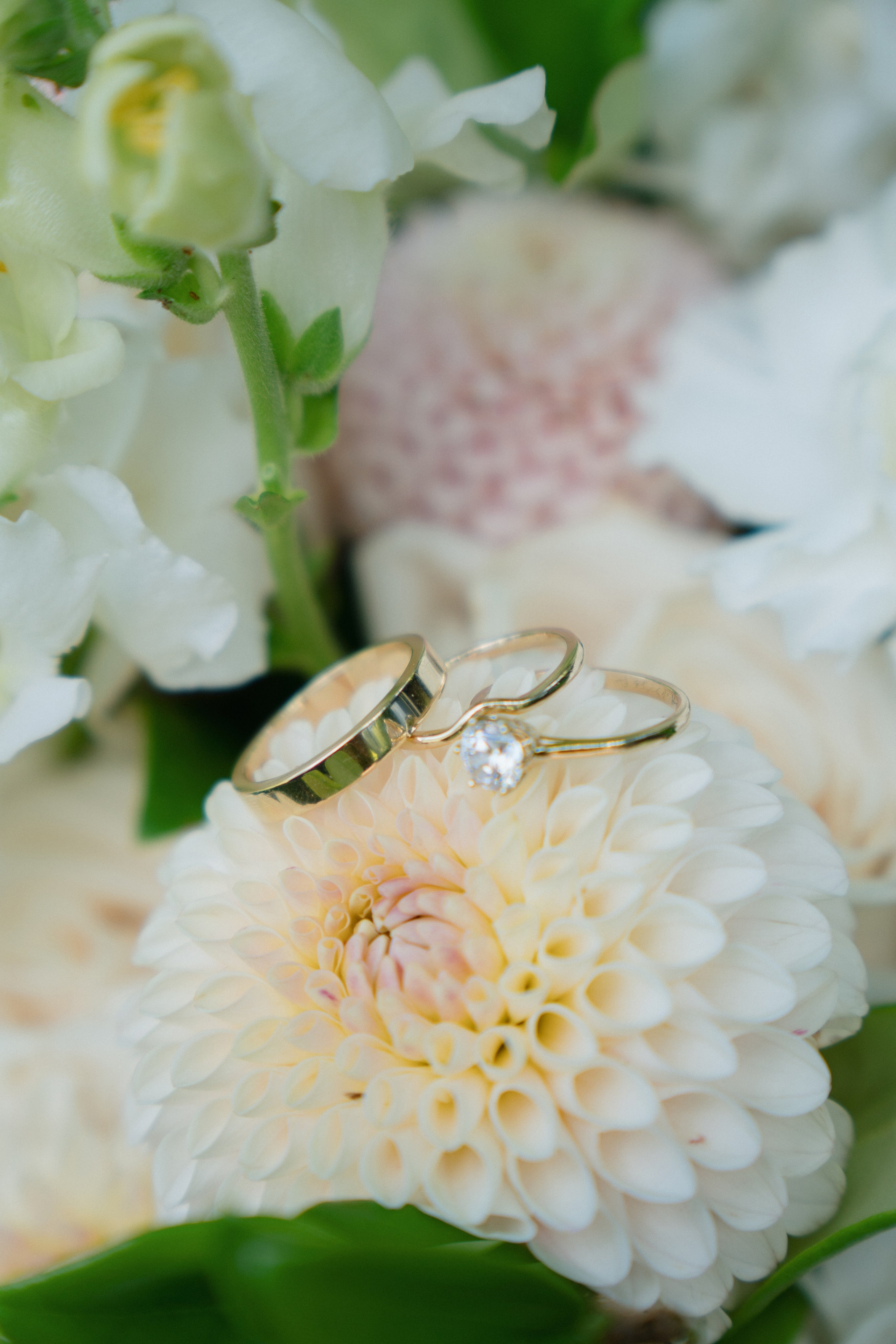 Arianna and Cristopher | Intimate Wedding. Photographer in Washington Sophia D