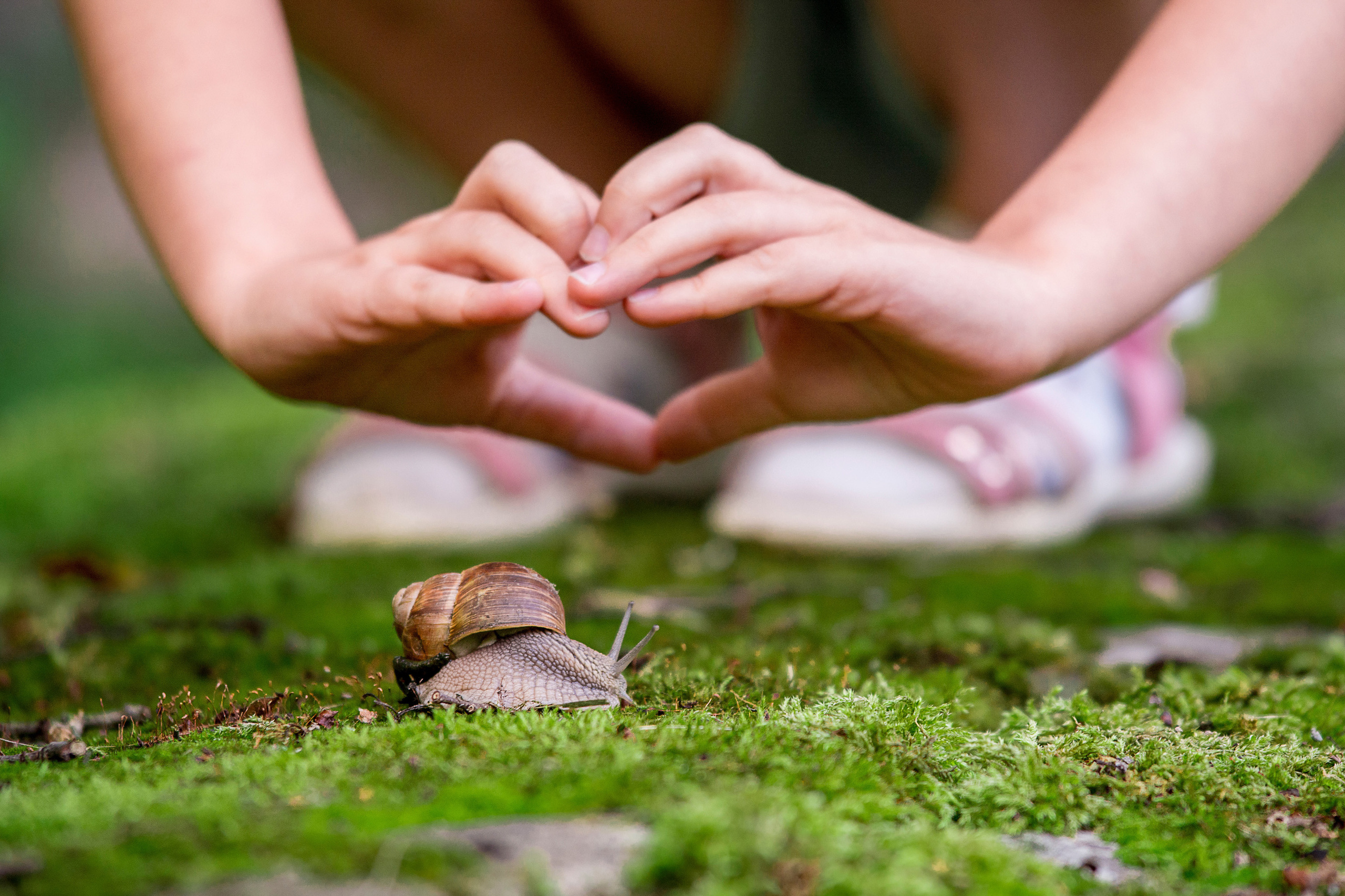 Семья / Дети. Свадебный и семейный фотограф в Даугавпилсе Павел Граблёнов