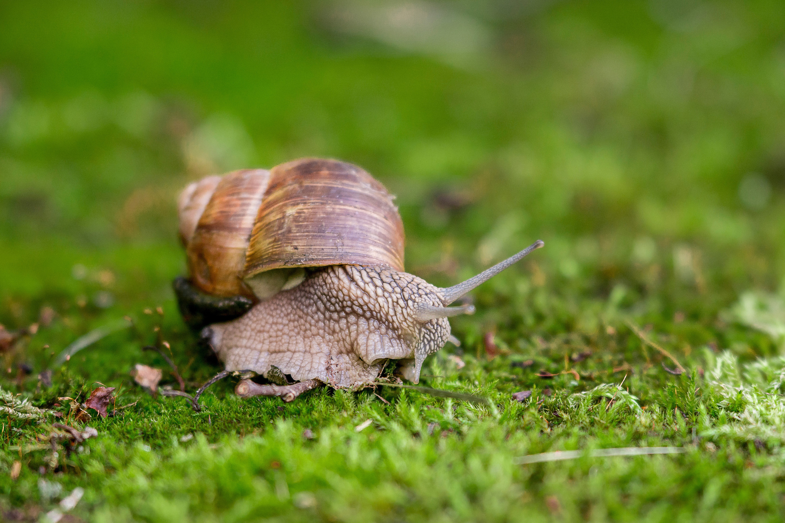 Семья / Дети. Свадебный и семейный фотограф в Даугавпилсе Павел Граблёнов