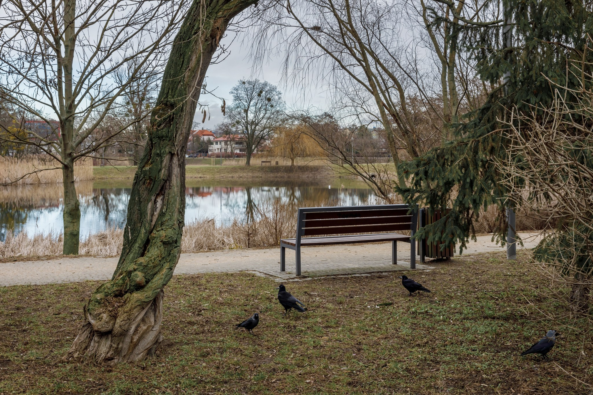 Dom dwurodzinny w Warszawie na sprzedaż. Fotograf Nieruchomości i Wnętrz