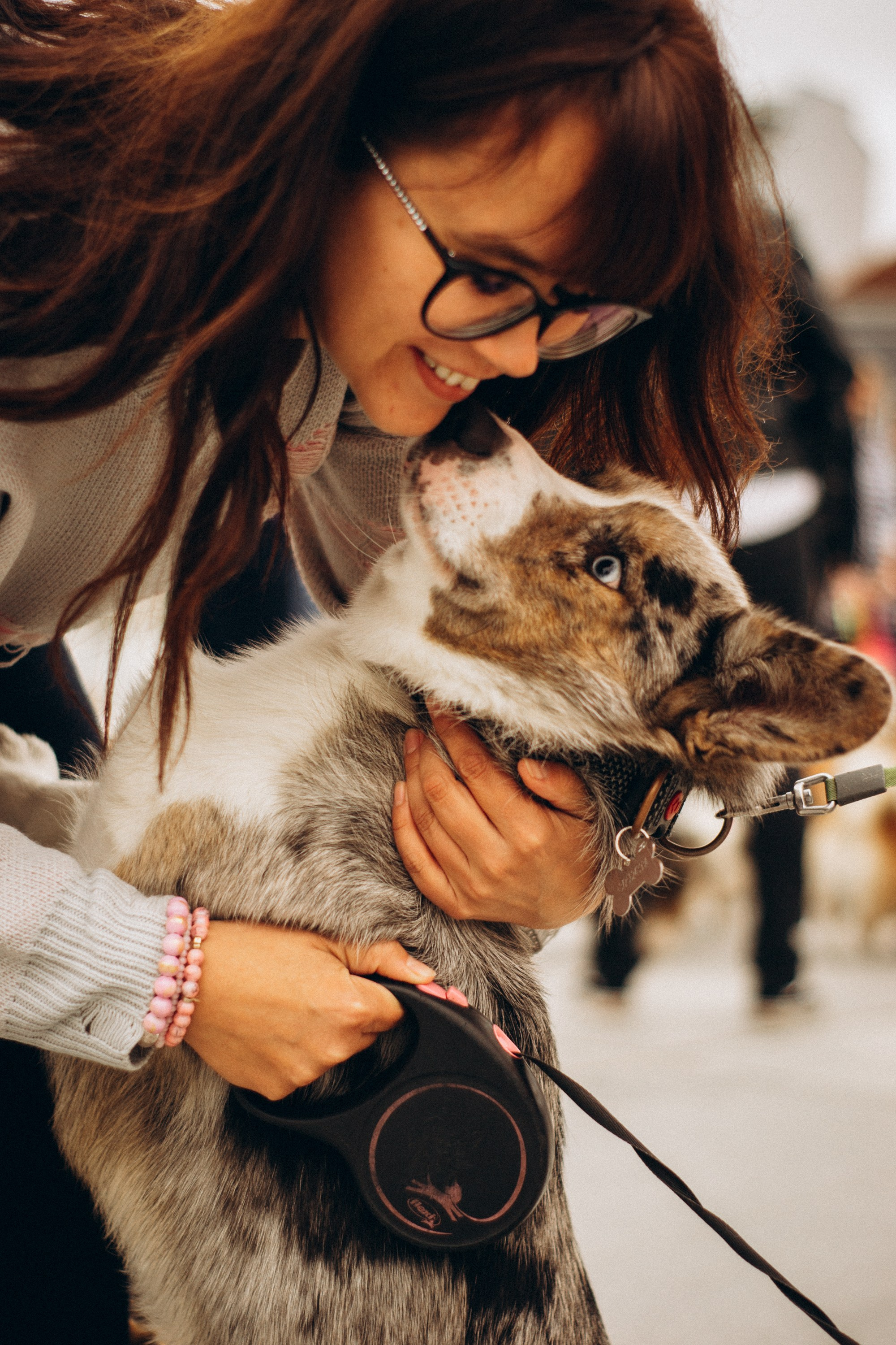 Corgi party, september. Kat Laisaar — Pet photographer in Tallinn