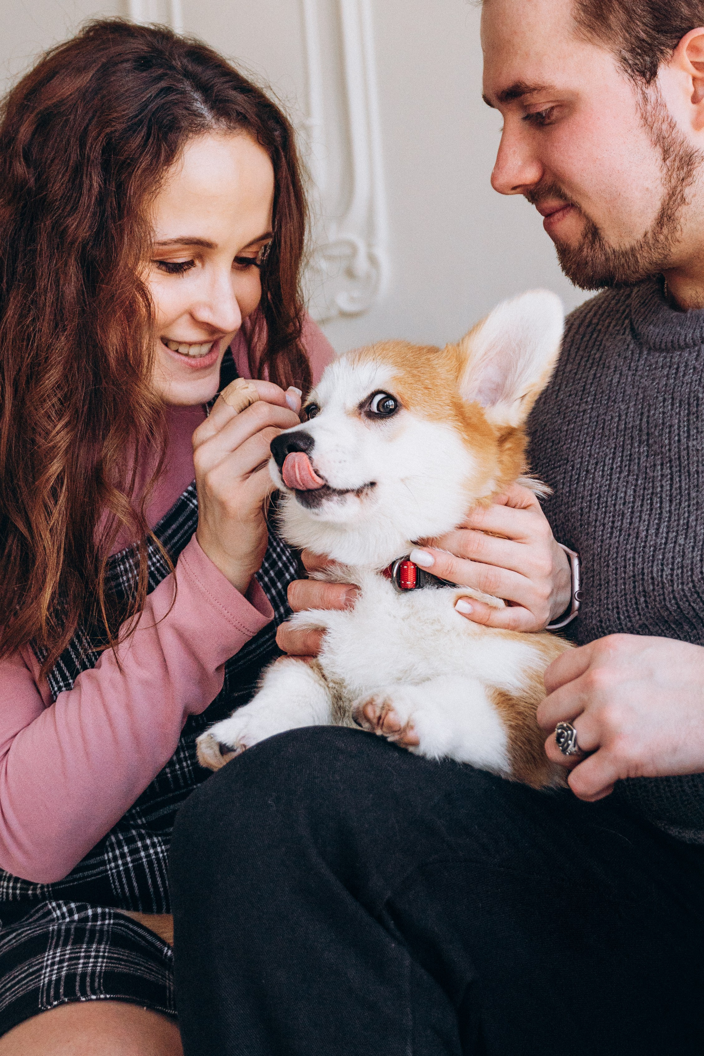 Mars & his Family. Kat Laisaar — Pet photographer in Tallinn