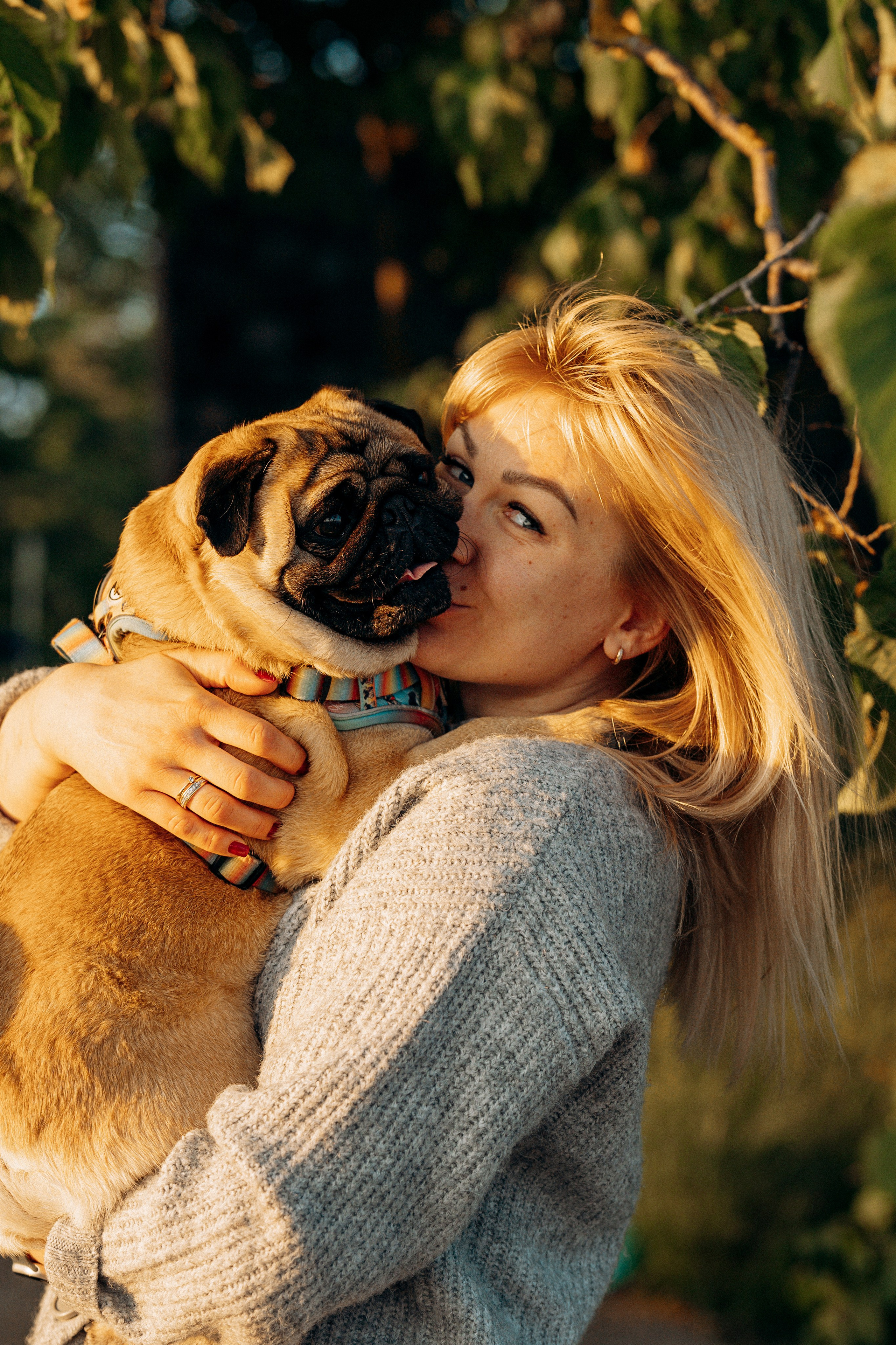 Frank, Tony, Katerina & Lev. Kat Laisaar — Pet photographer in Tallinn