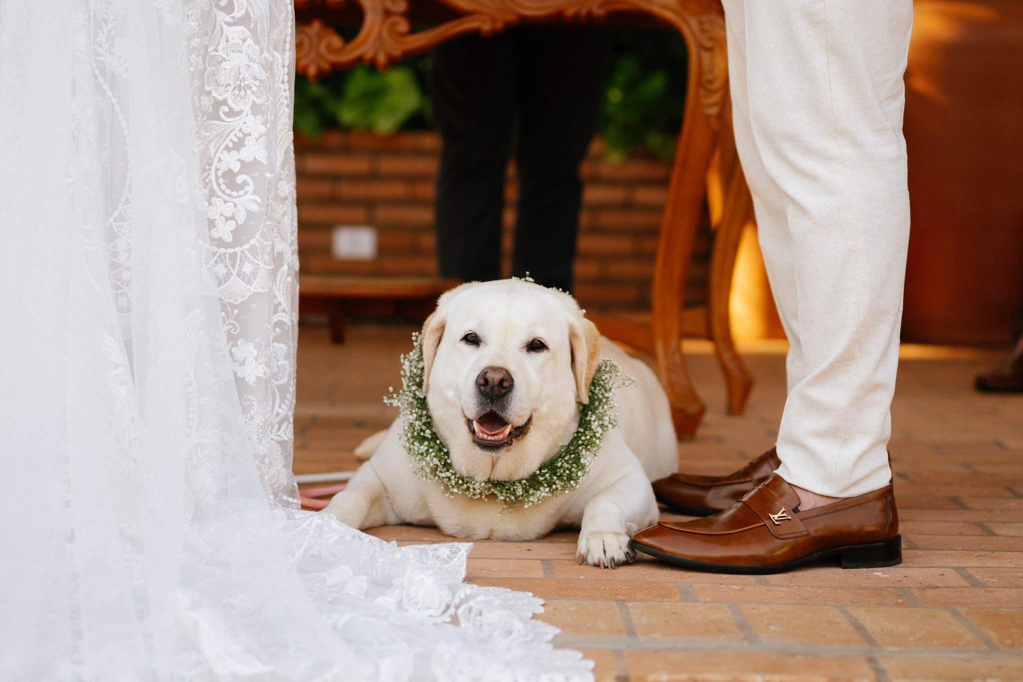 Julia & Alvaro | Fotografia de Casamento no Palmeiras Eventos de Limeira