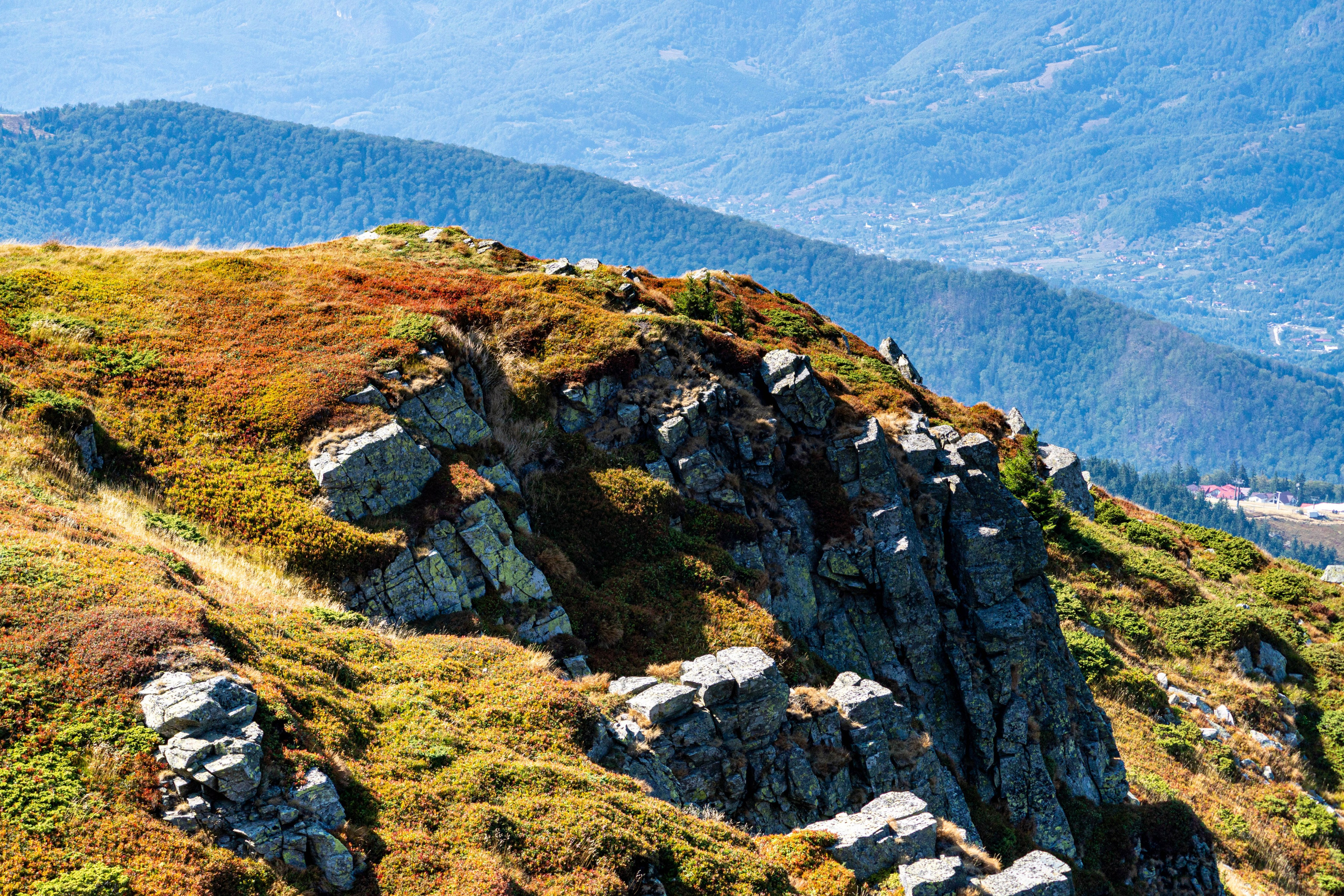 Nature. Alecsandru Braicu — Sports Photographer