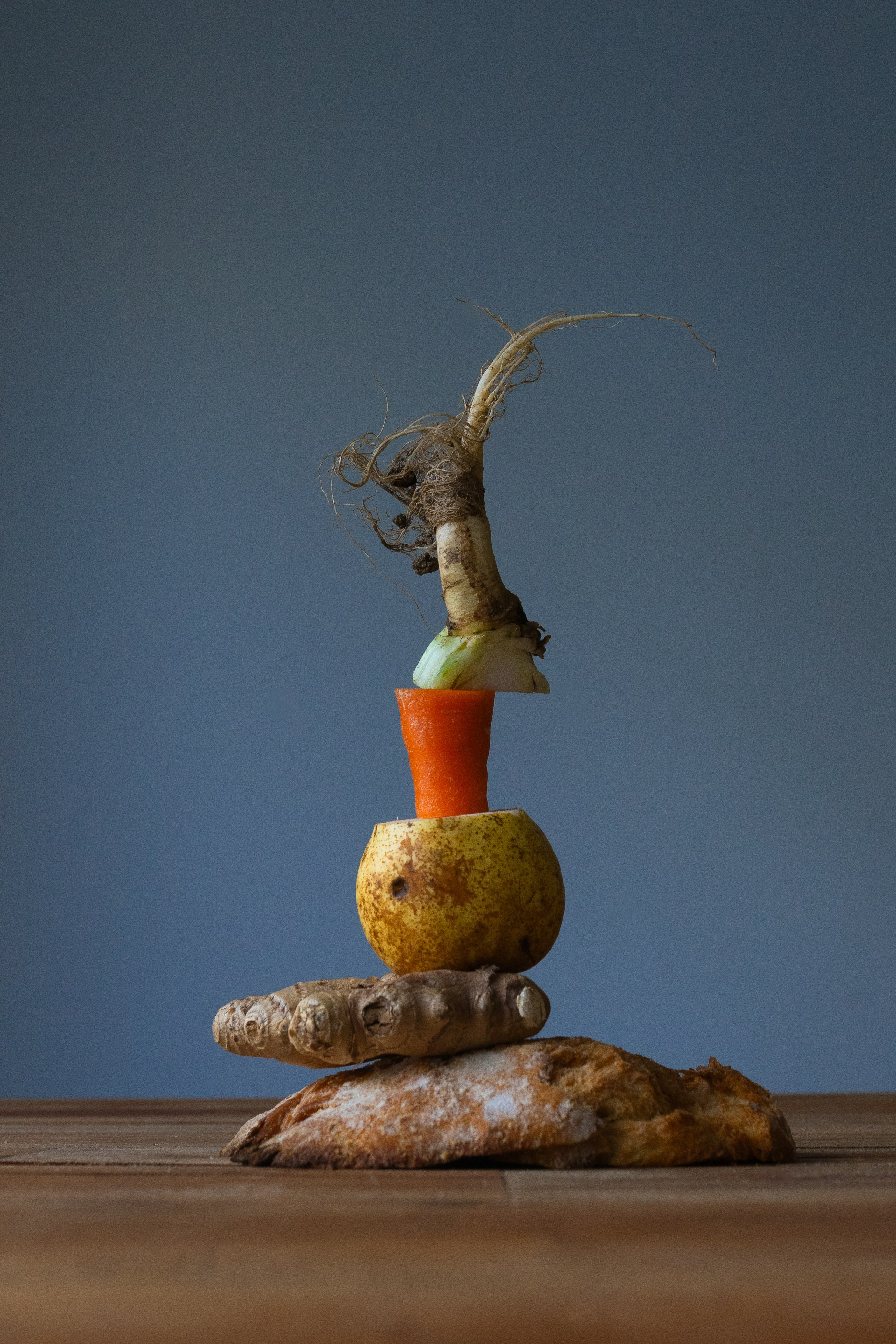 Roots. Maria Sher. Professional photographer from Porto, Portugal