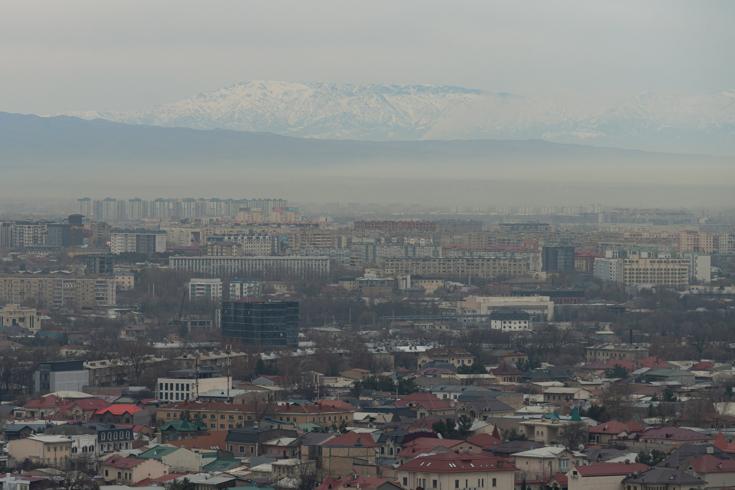 Смог в Ташкенте или Взгляд на город с высоты птичьего полета. Георгий Намазов | Фотограф в Ташкенте
