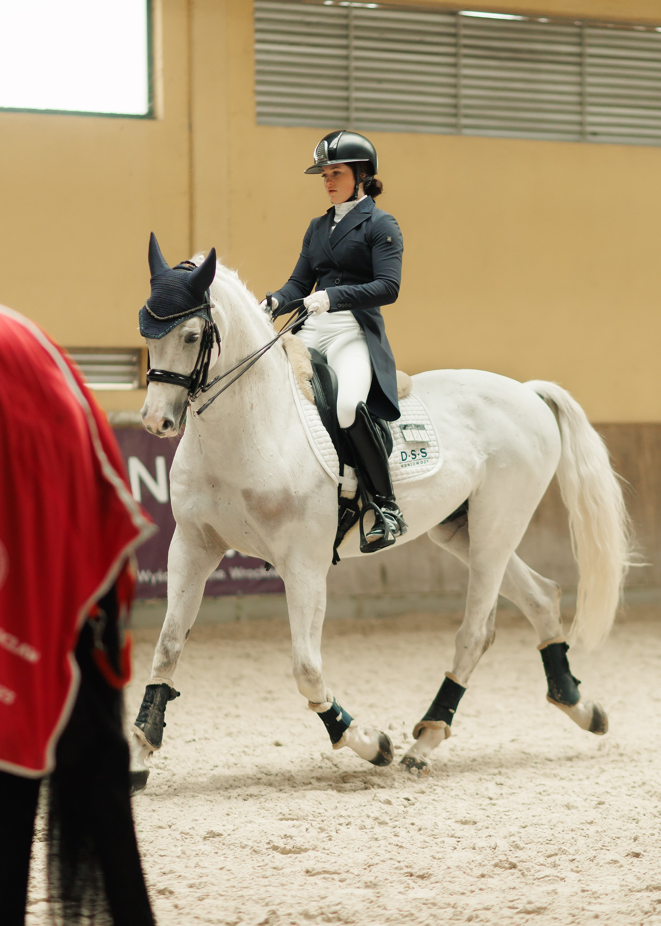 Partynice dressage \ feb'25. Kaja | fotograf we Wrocławiu | ludzie i psy