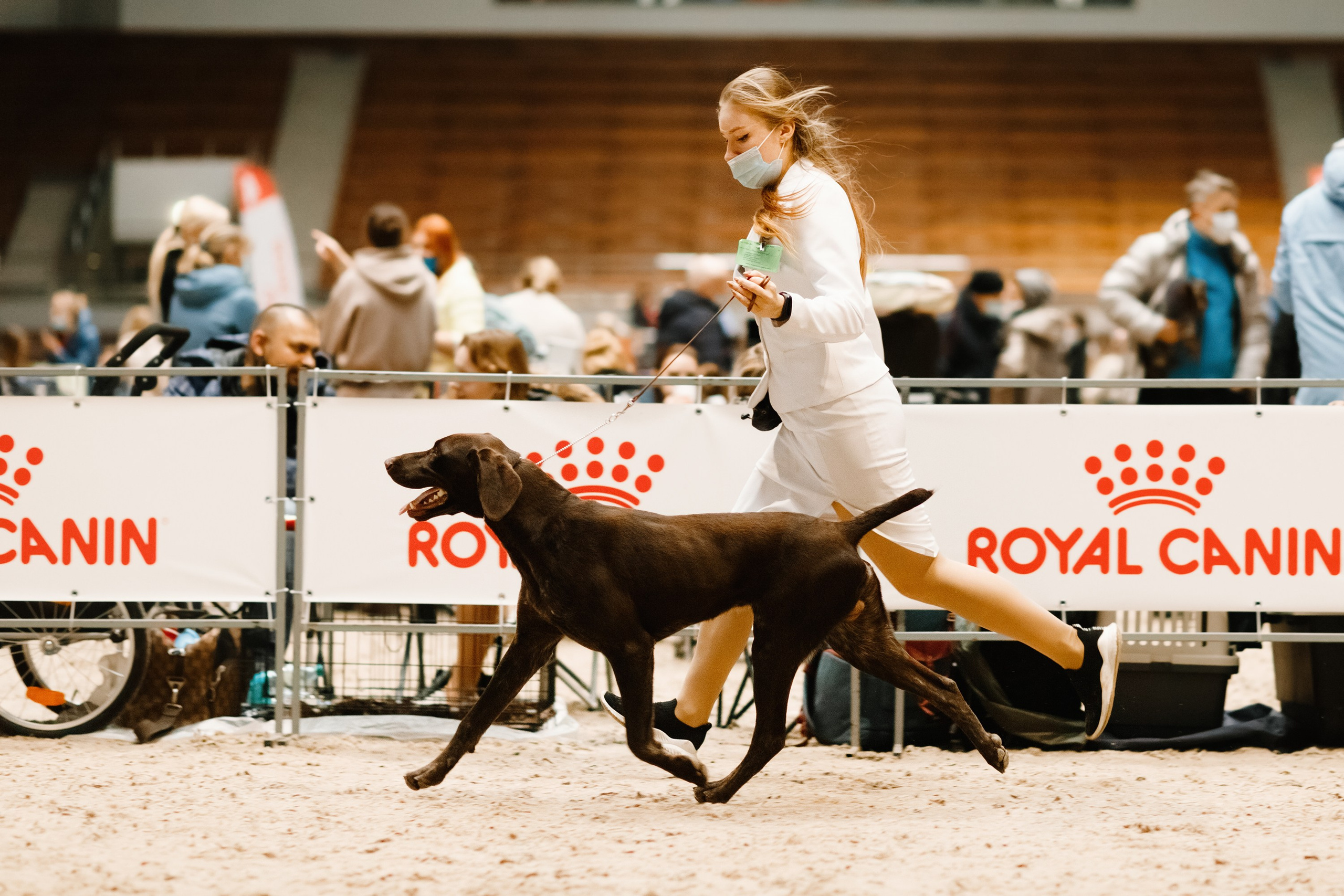 Dog shows | the best ones. Kaja | fotograf psów we Wrocławiu