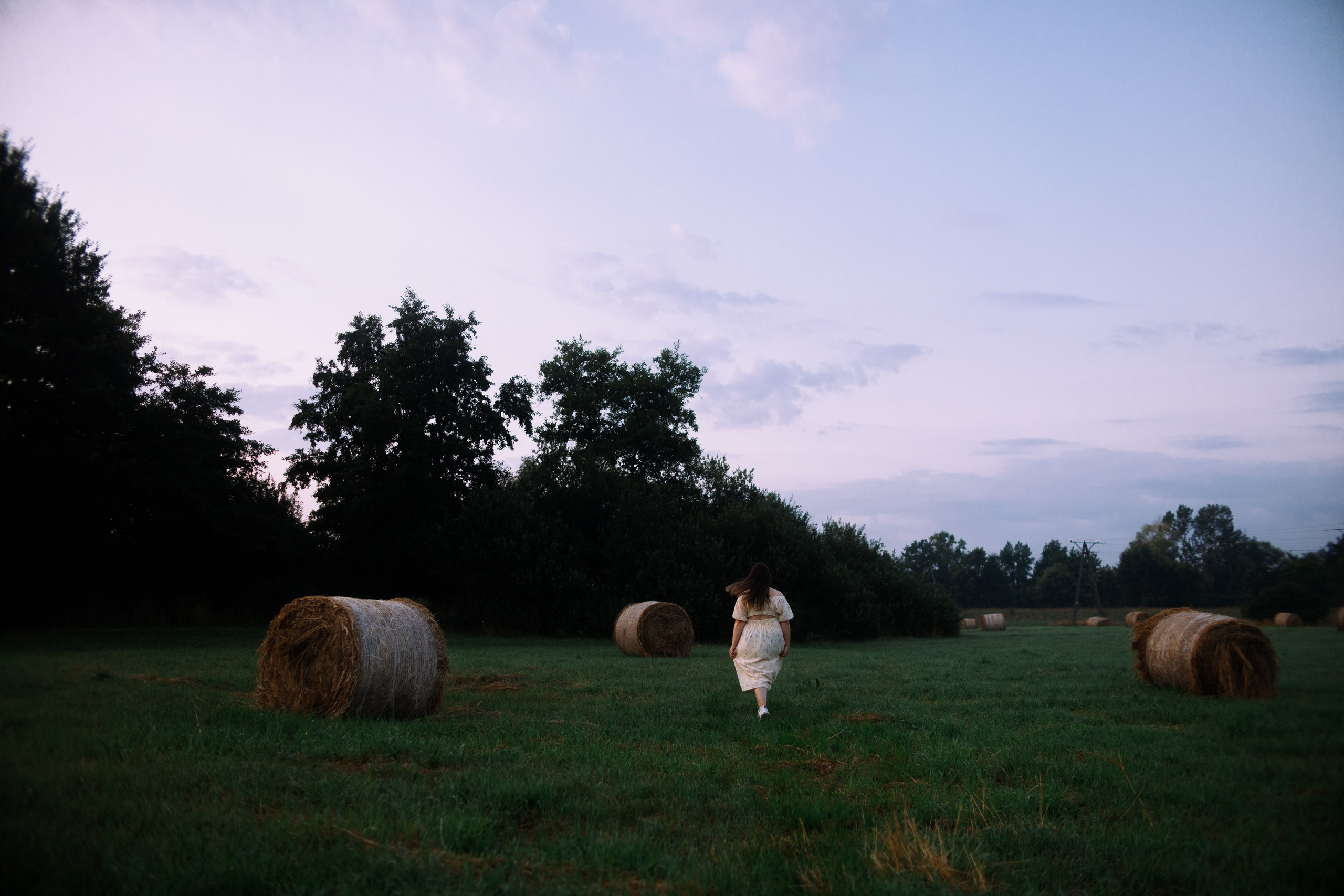 Katya in the field. Kaja | fotograf psów we Wrocławiu