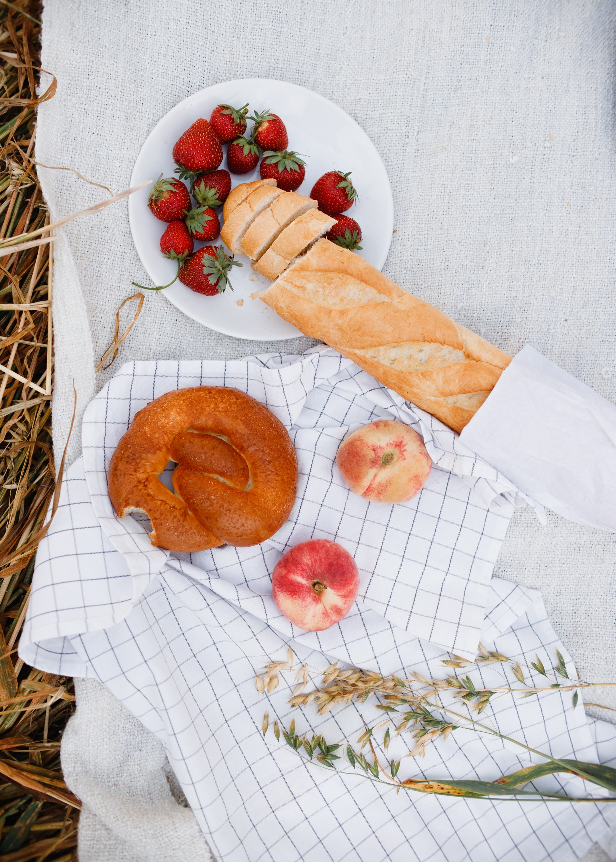 Katya | tenderness in the field. Kaja | fotograf psów we Wrocławiu