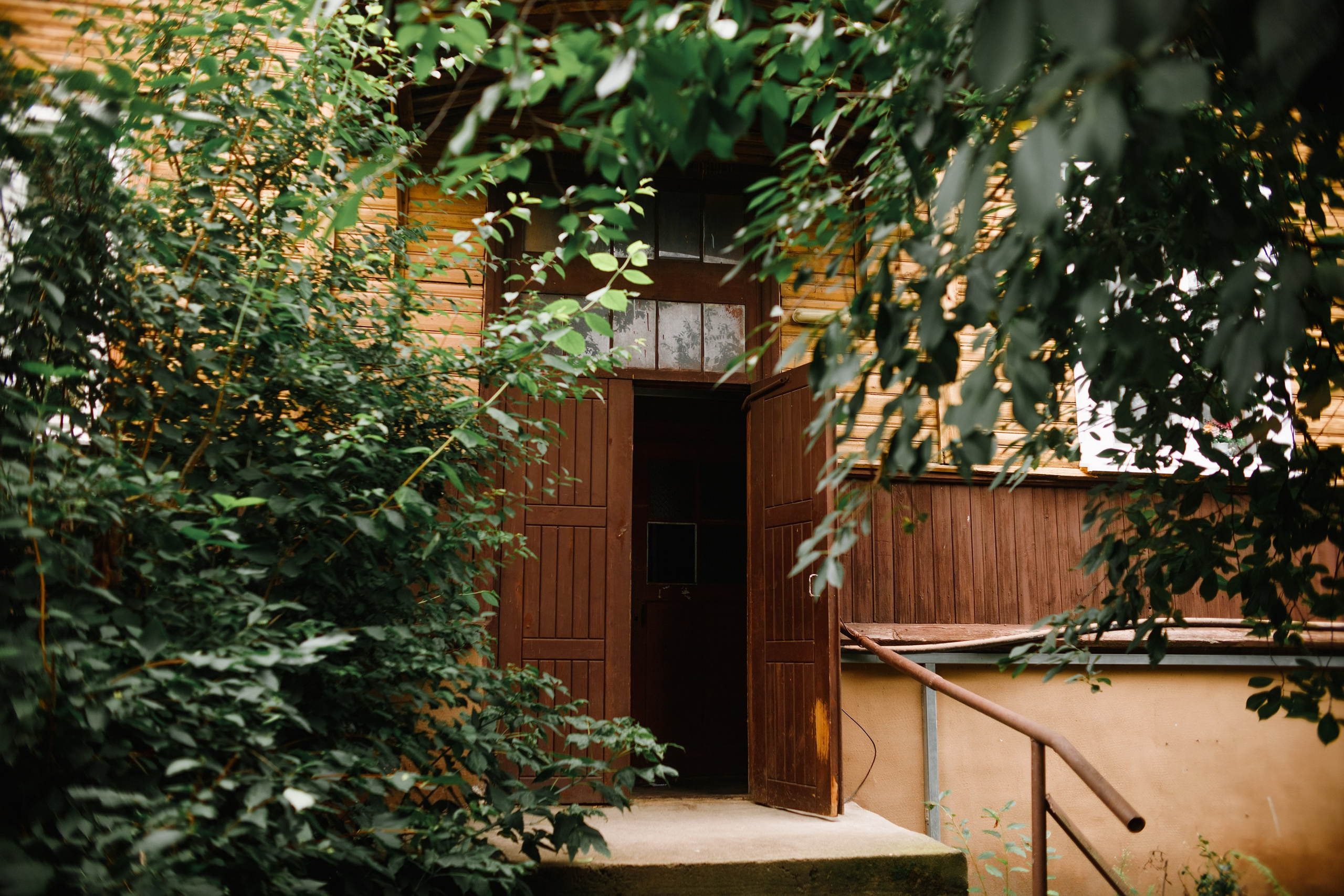 Grodno. Kaja | fotograf we Wrocławiu | ludzie i psy