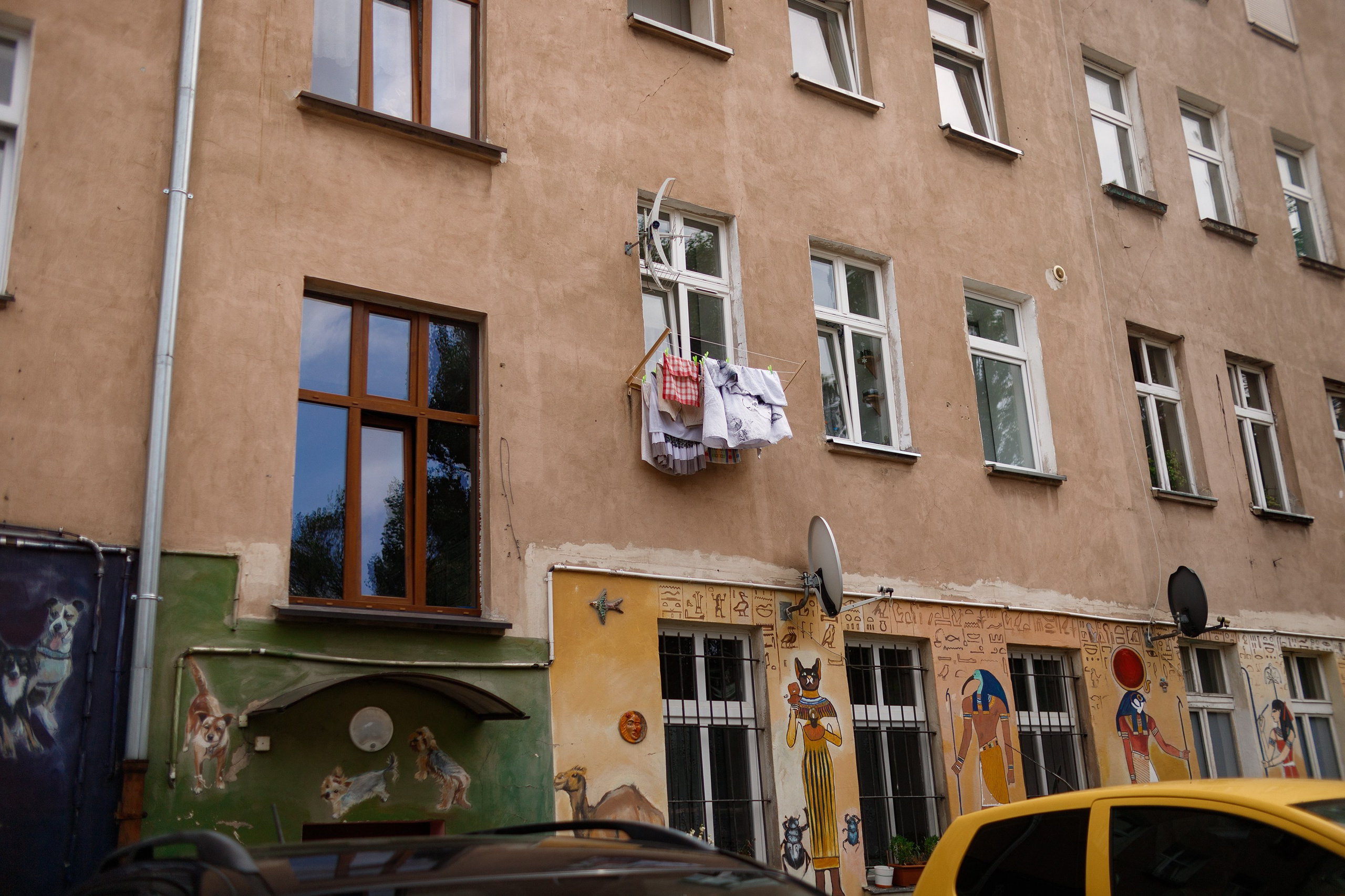 Wroclaw | the best ones. Kaja | fotograf psów we Wrocławiu