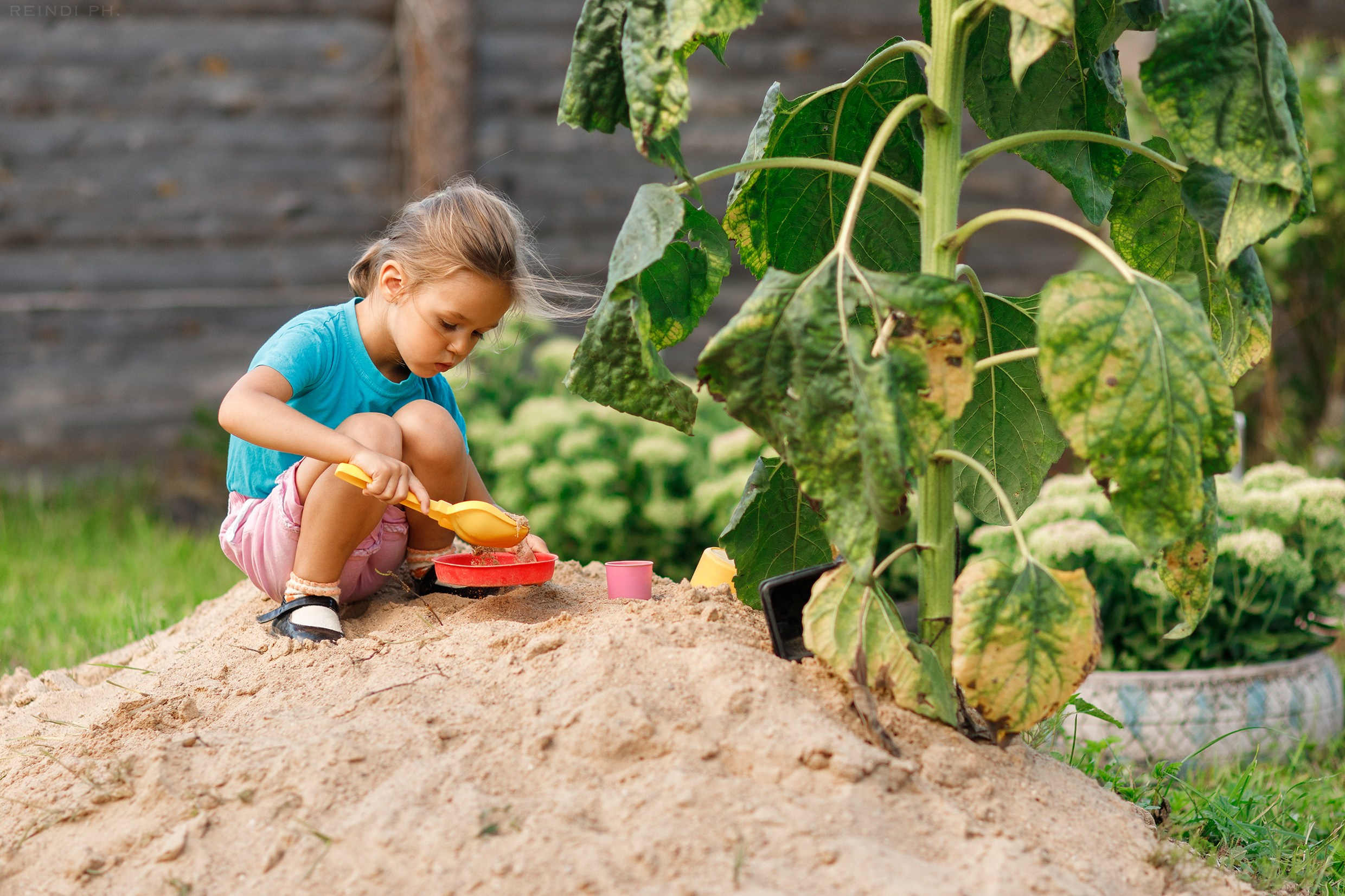 Horse show in the village. Kaja | fotograf we Wrocławiu | ludzie i psy