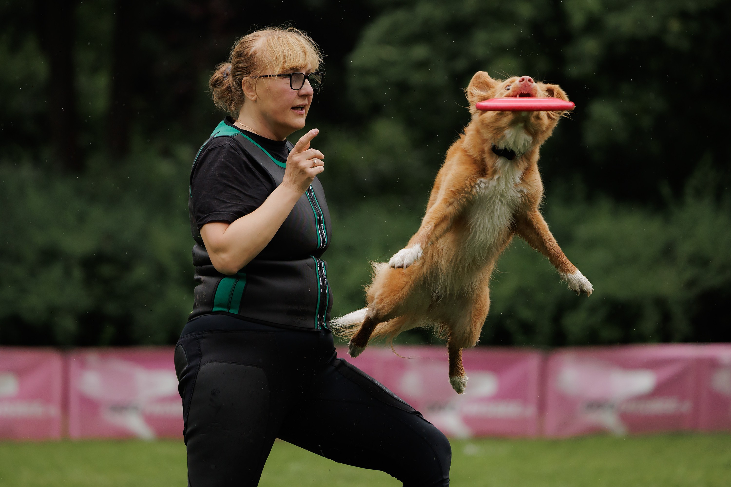 Latające psy, Wrocław'25. Kaja | fotograf psów we Wrocławiu