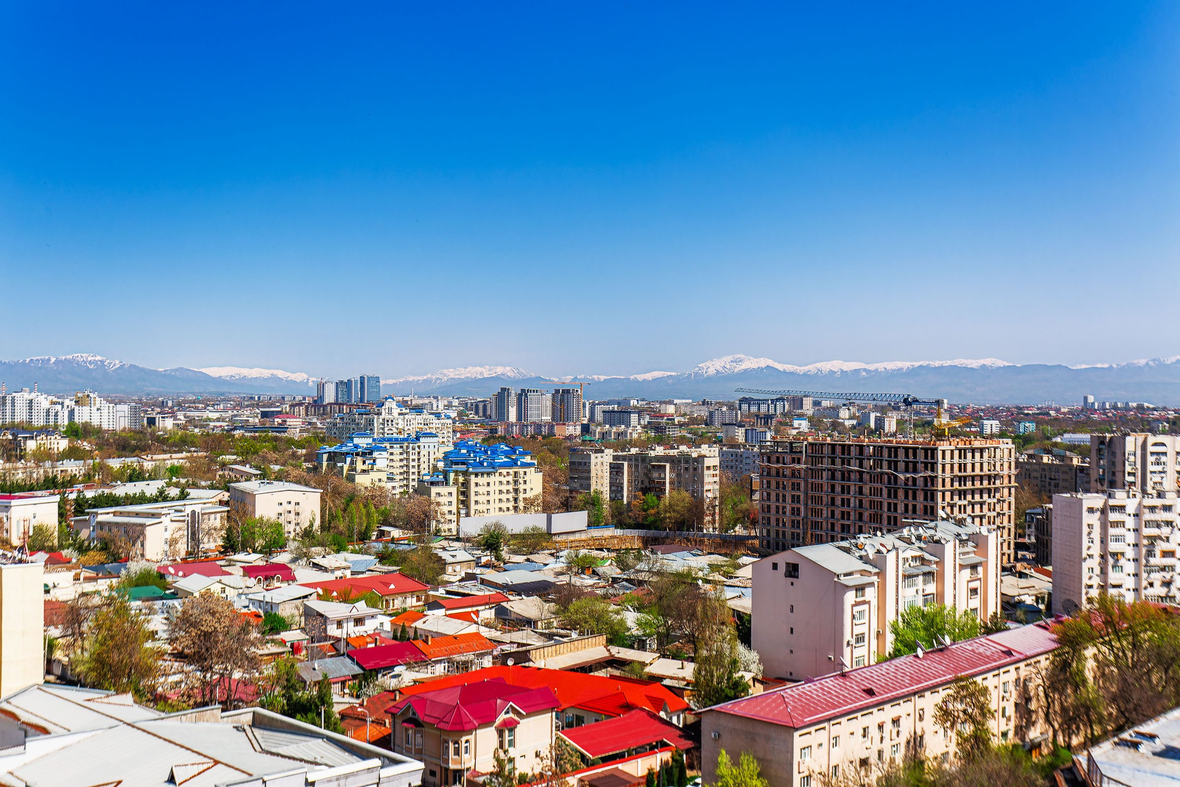 Интерьерный фотограф в Ташкенте