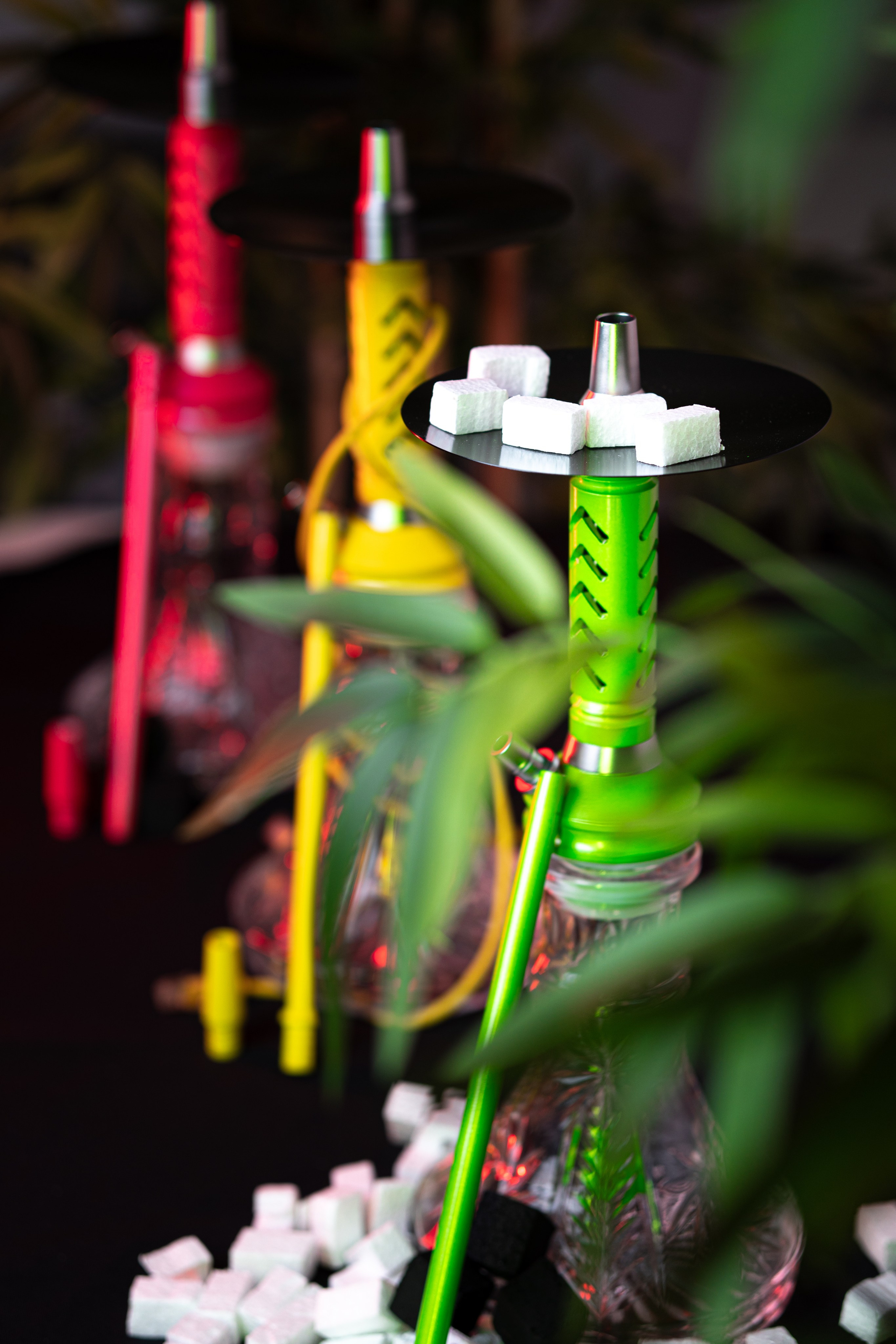 Cachimbas. Baby Beast