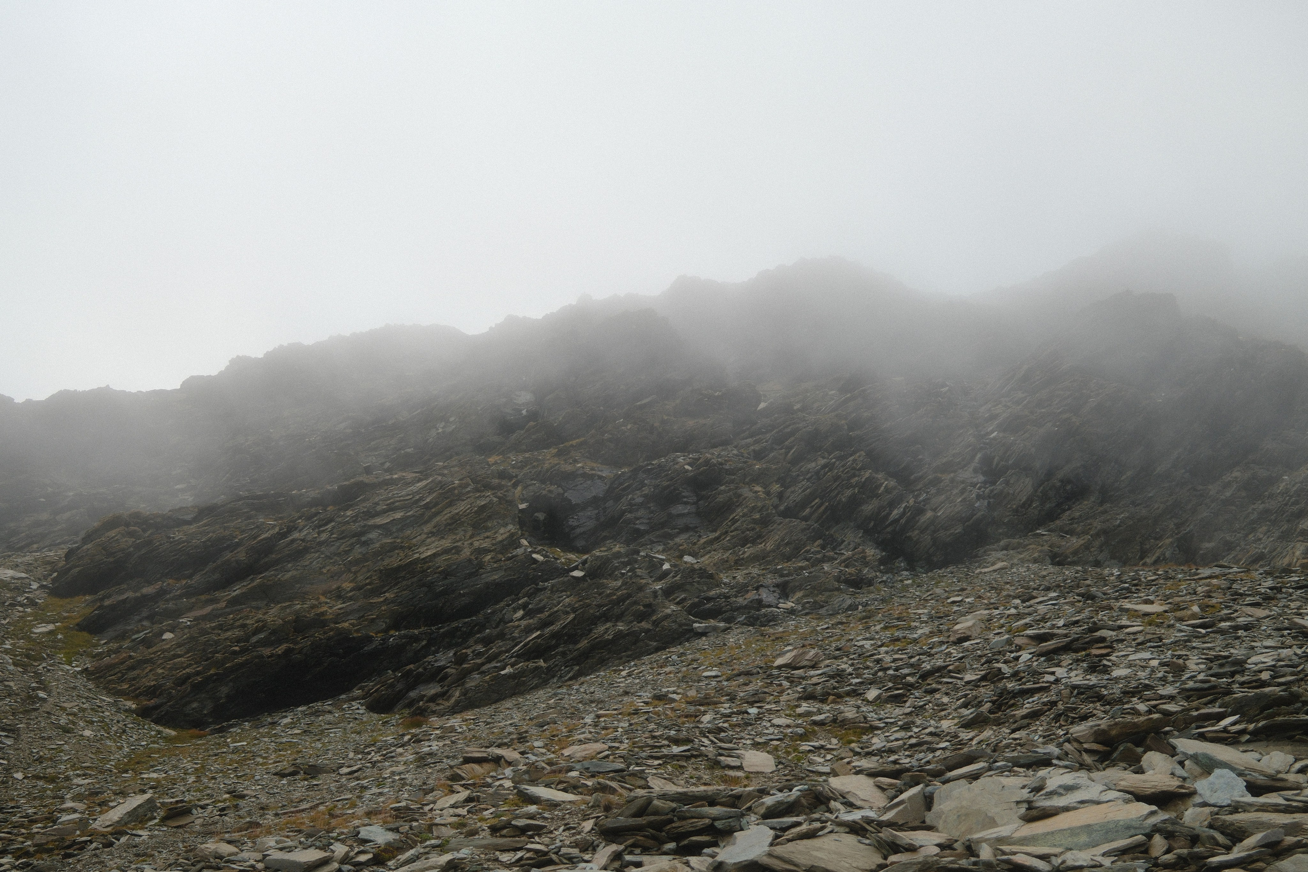 Castor. Patricia Morenci — Mountain Adventures for the Wild at Heart