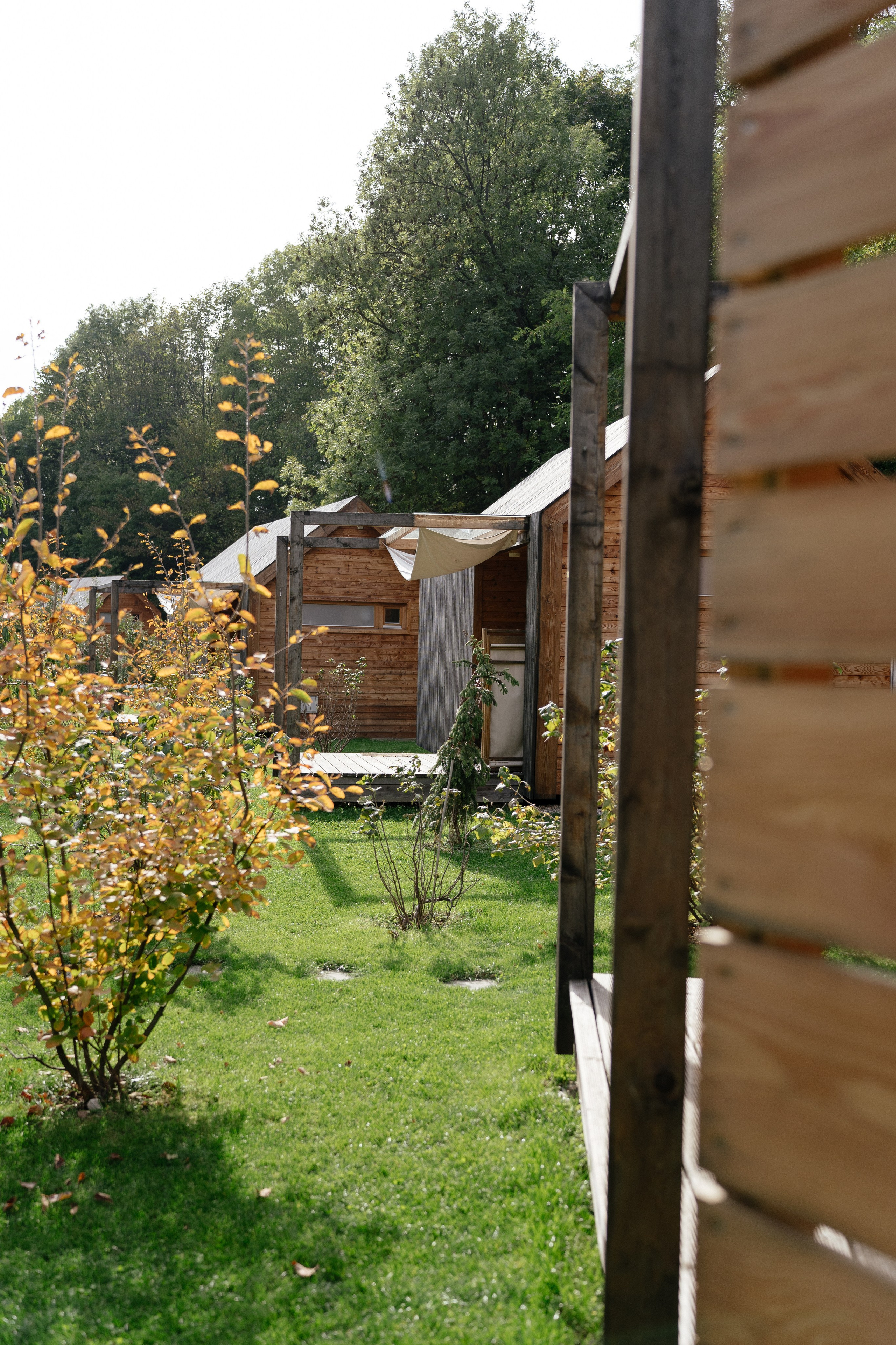 Airbnb. Patricia Morenci — Mountain Adventures for the Wild at Heart