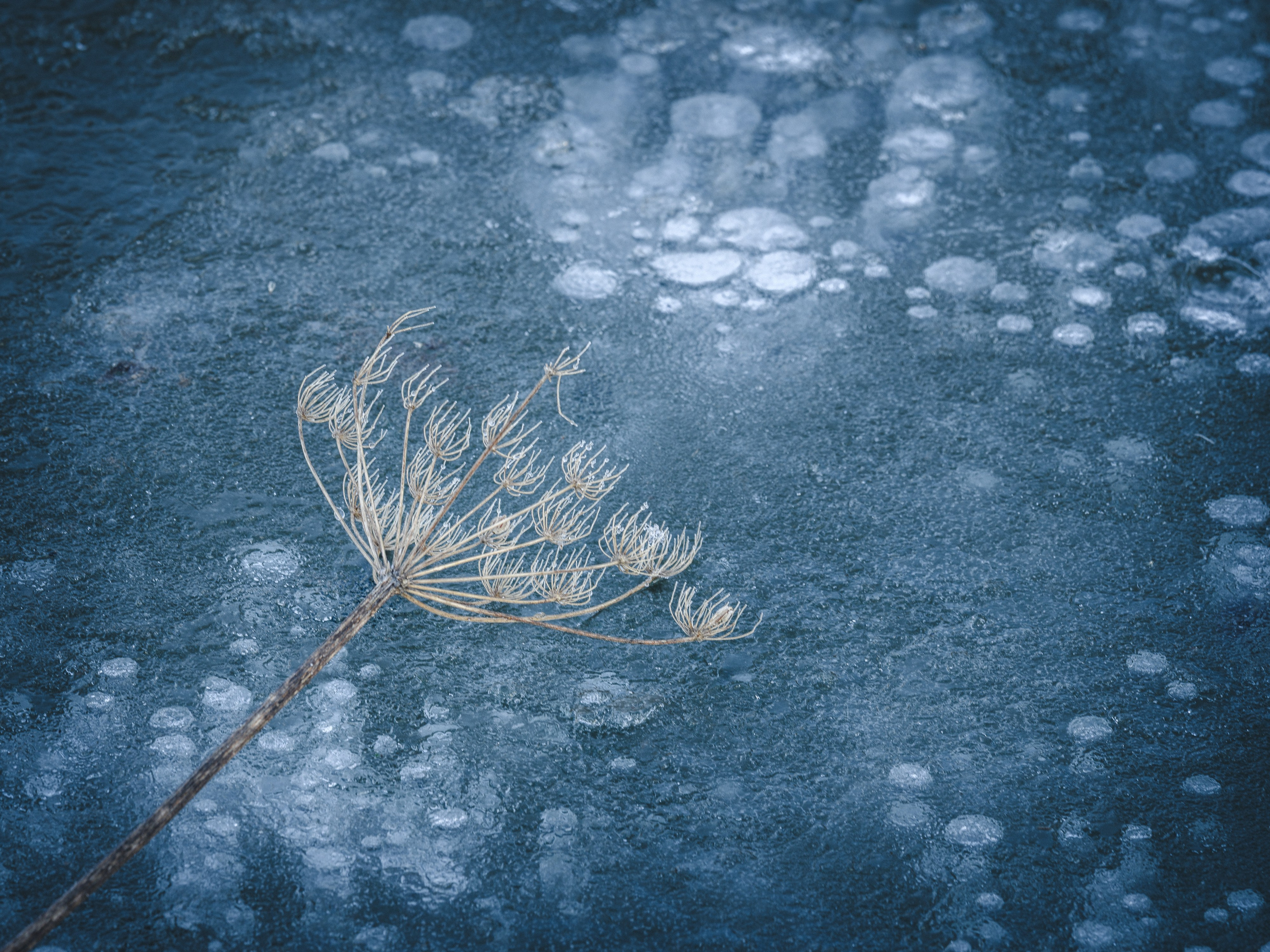 Intimate Landscapes. Nature Photographer and Videographer from Germany