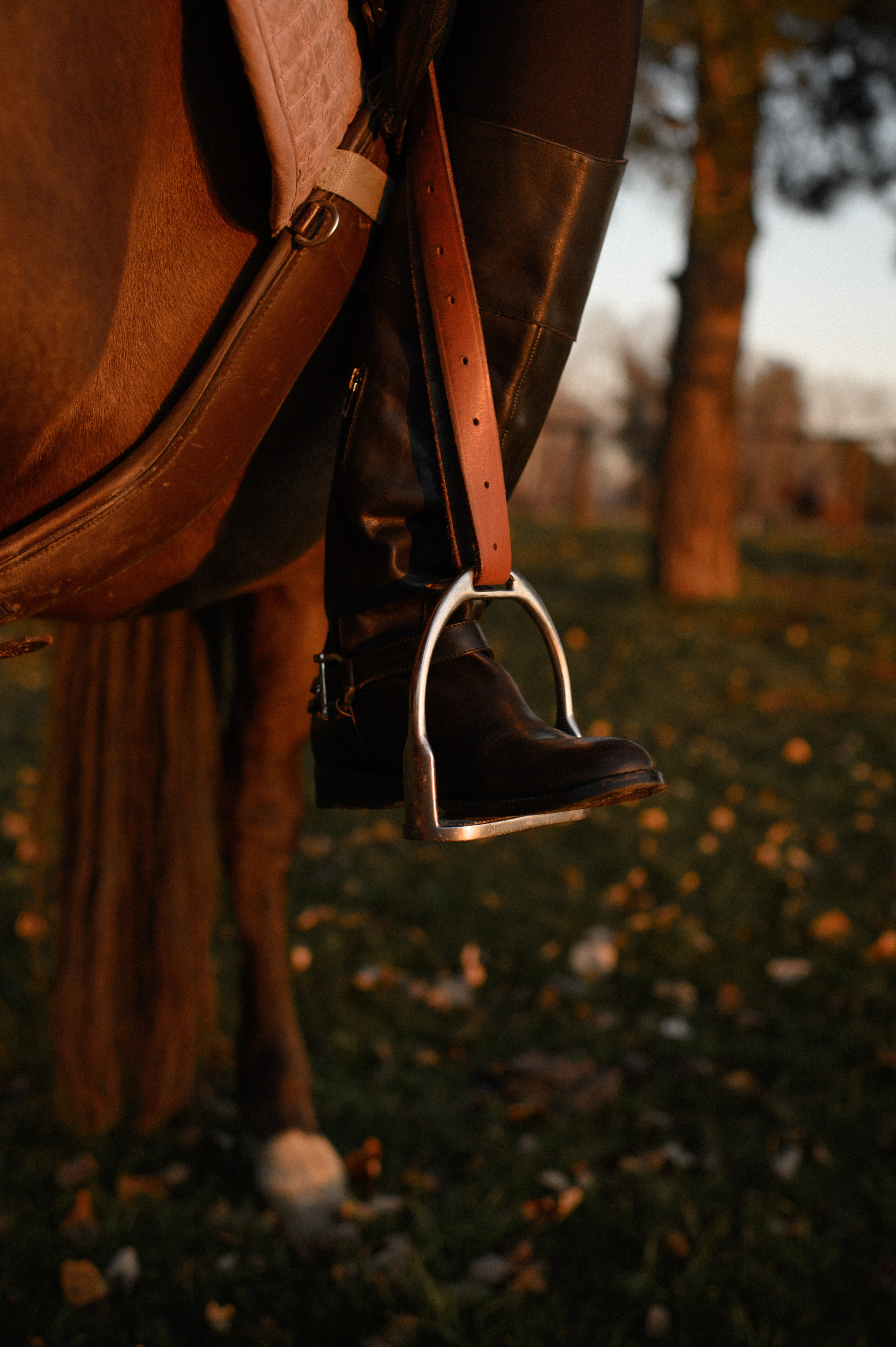 Sofia evening horse ride. Family, children, portrait, and event photography in Thessaloniki