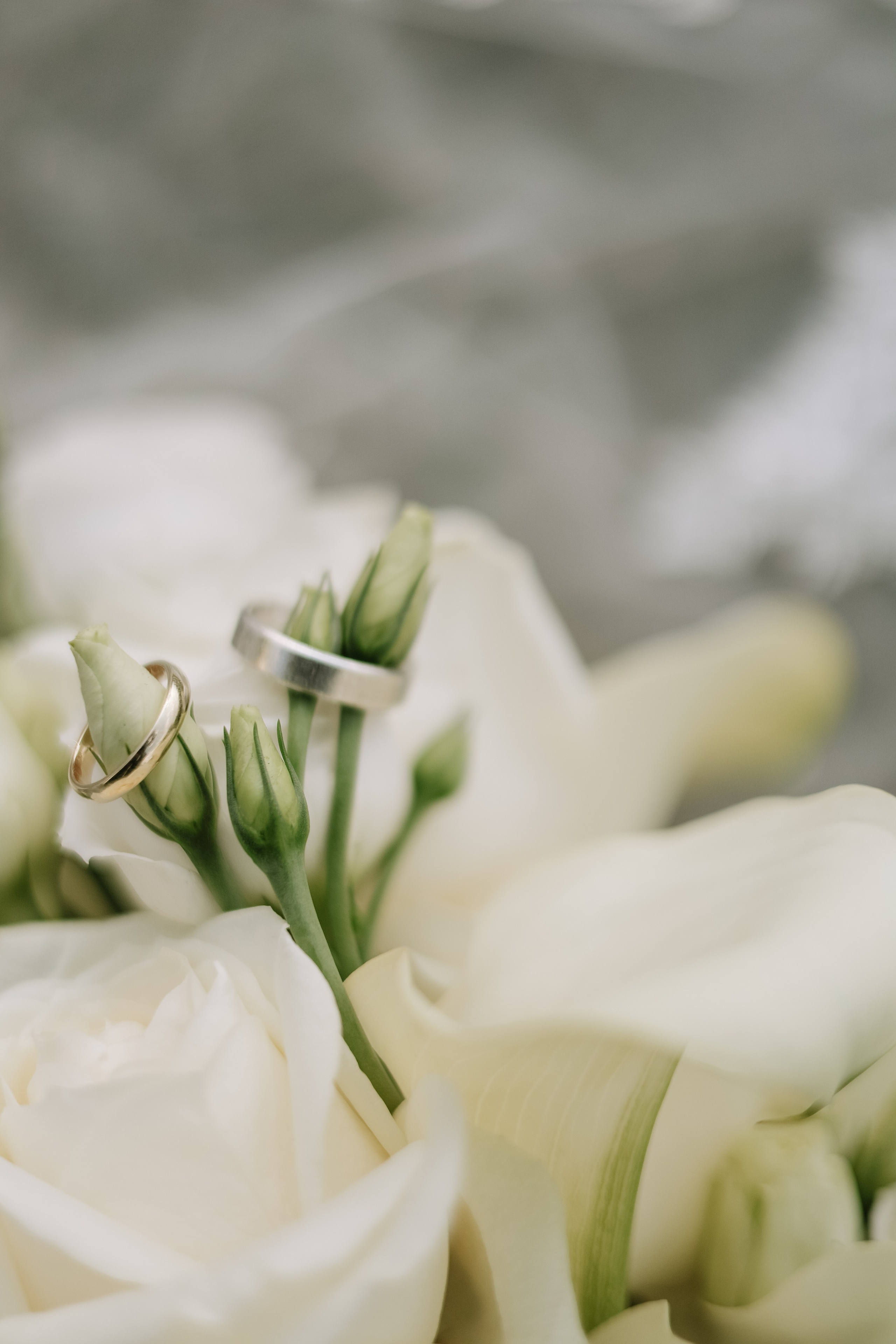 PORTFOLIO. Fotografin Wedding Photographer, Braunschweig, Niedersachsen, Deutschland