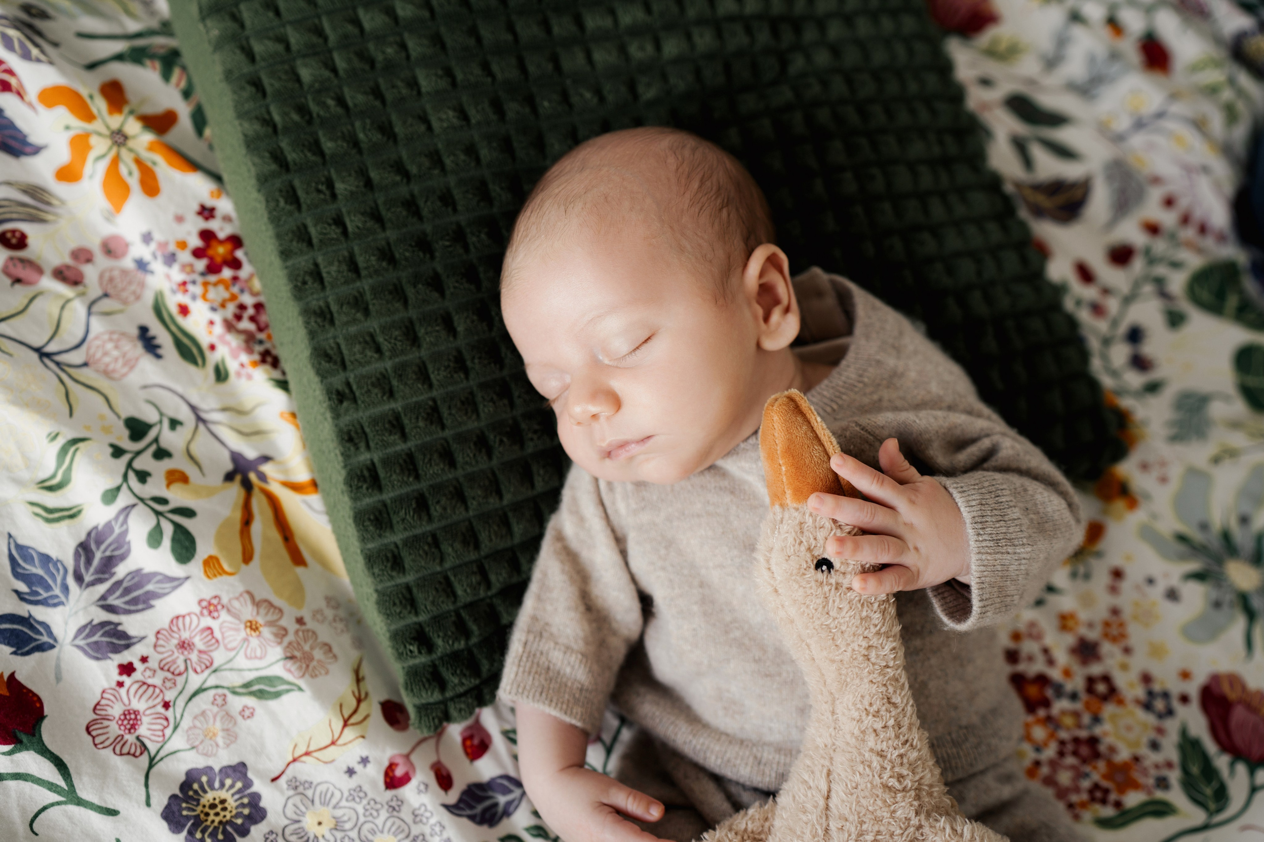 Home story. Bébé Newborn Photographer in Copenhagen