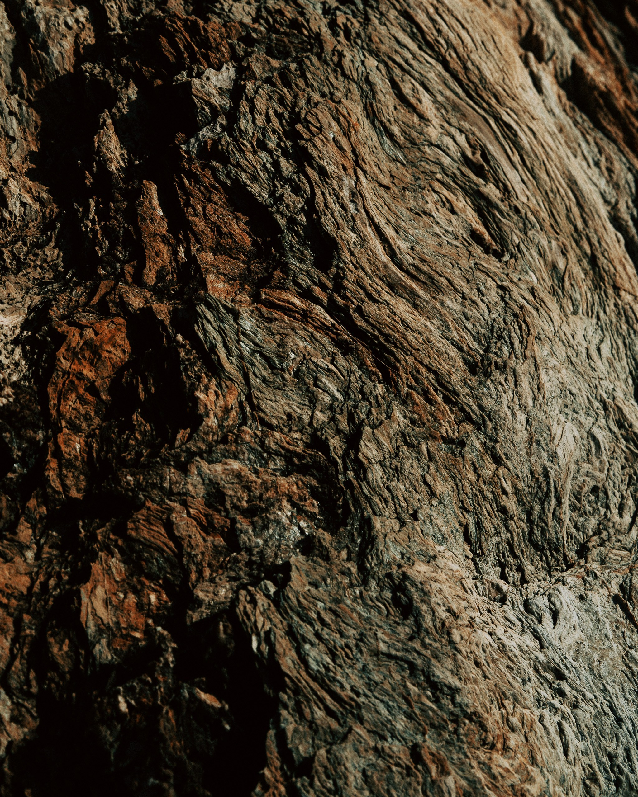 Ksenia. Inna Mendelson — Photographer