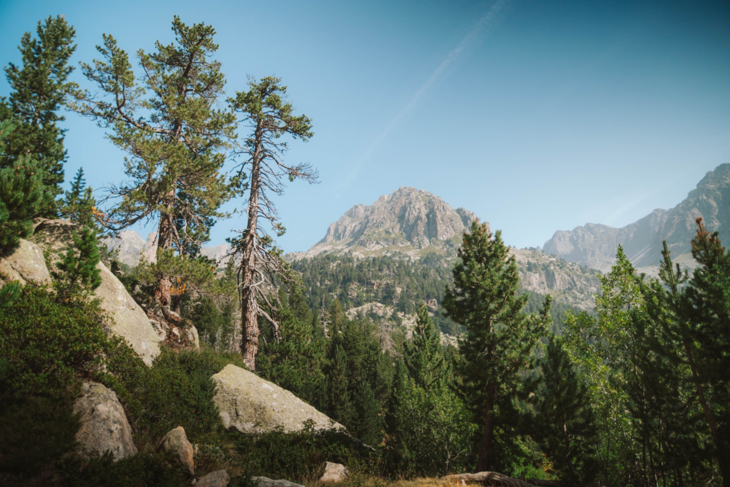 Parque Nacional de Aigüestortes y Estany de Sant Maurici. Alba del Norte Studio