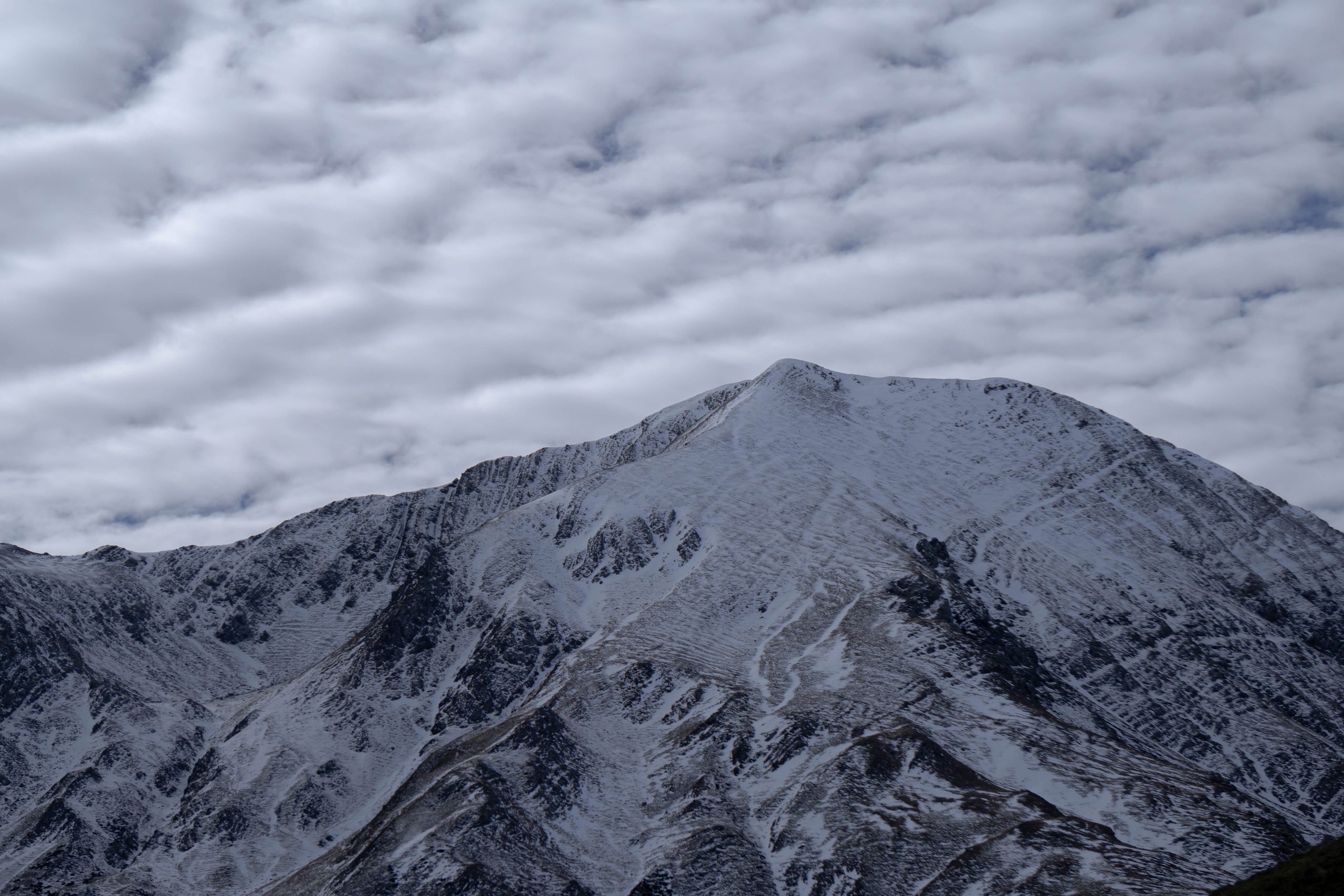 Filia. Alba del Norte Studio