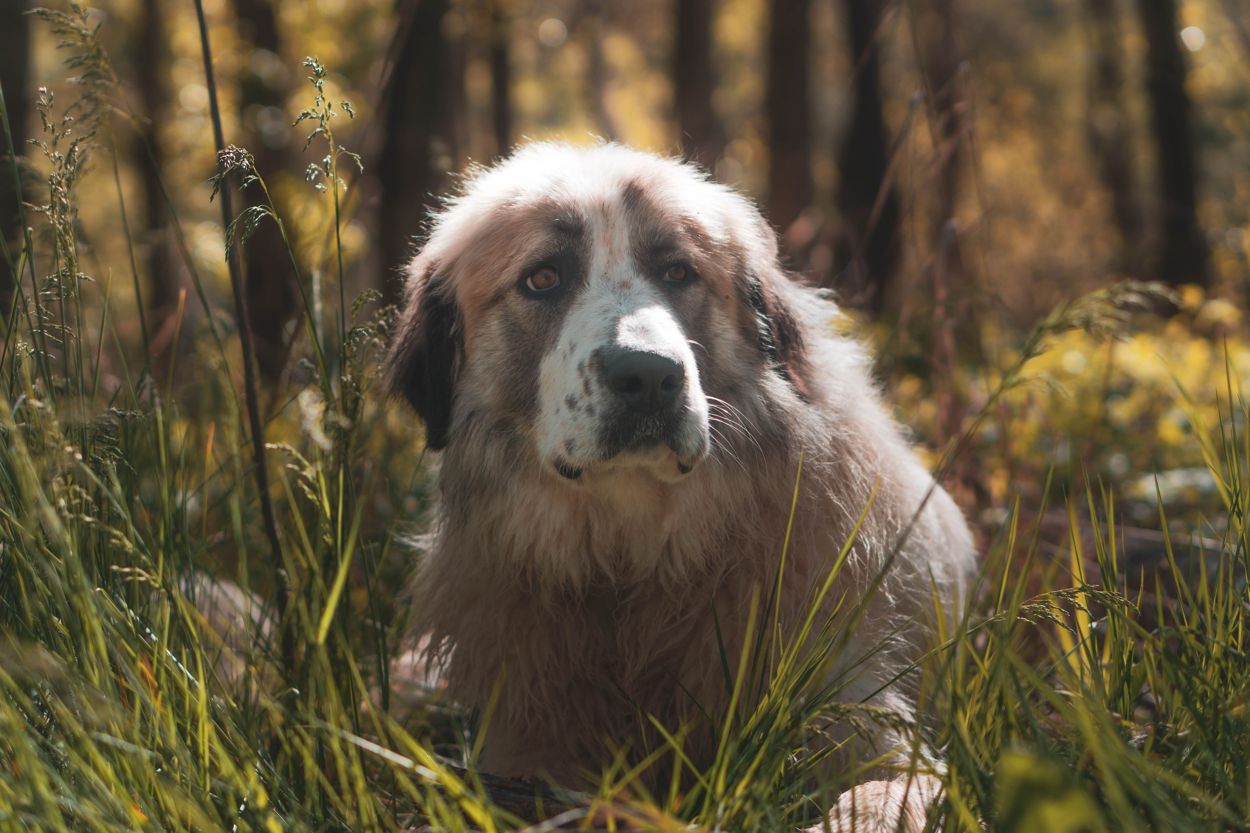 Noa&Agnia. Alba del Norte Studio