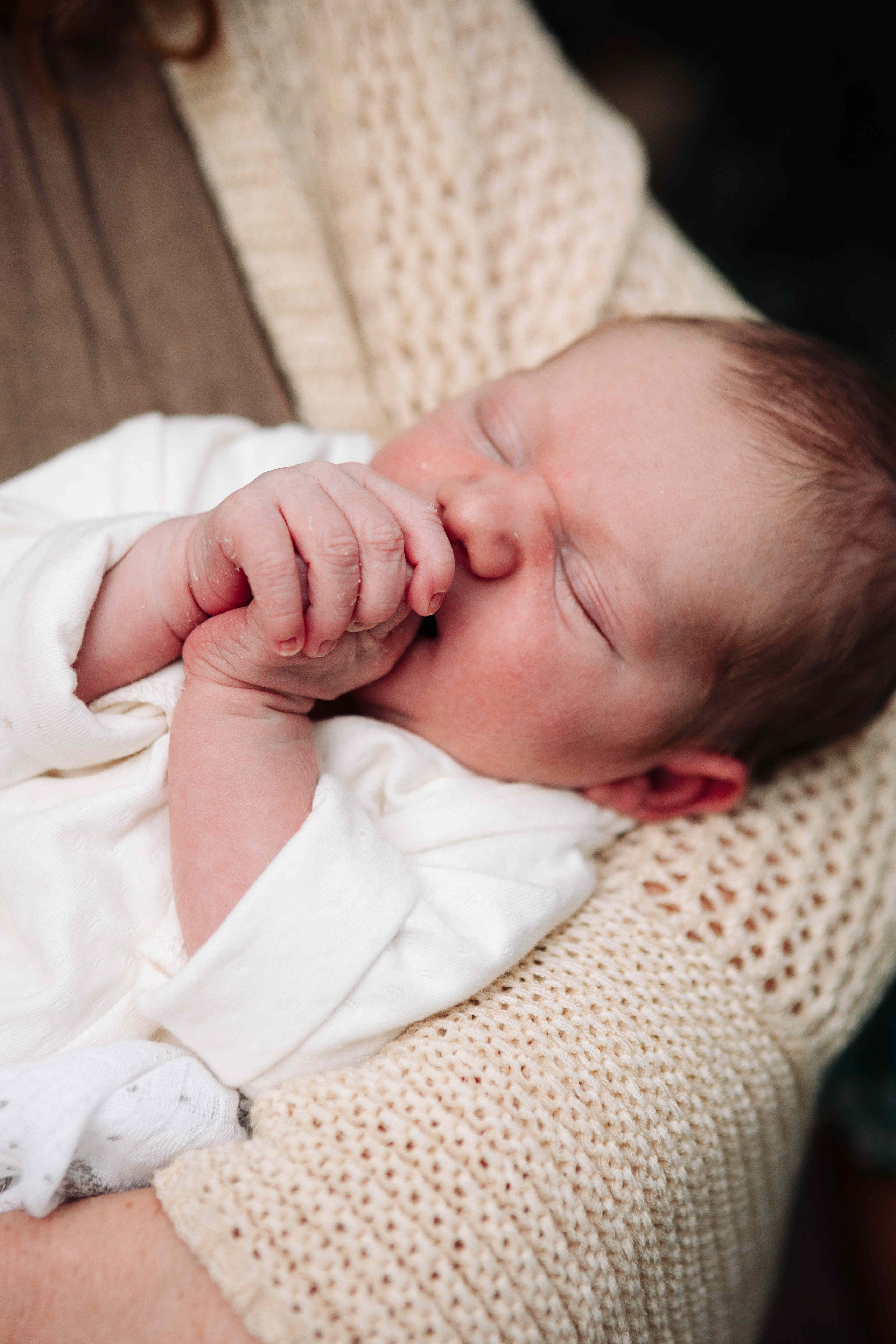 BRIT MILA IN NATURE IN JERUSALEM. Https://shi-photo.com/