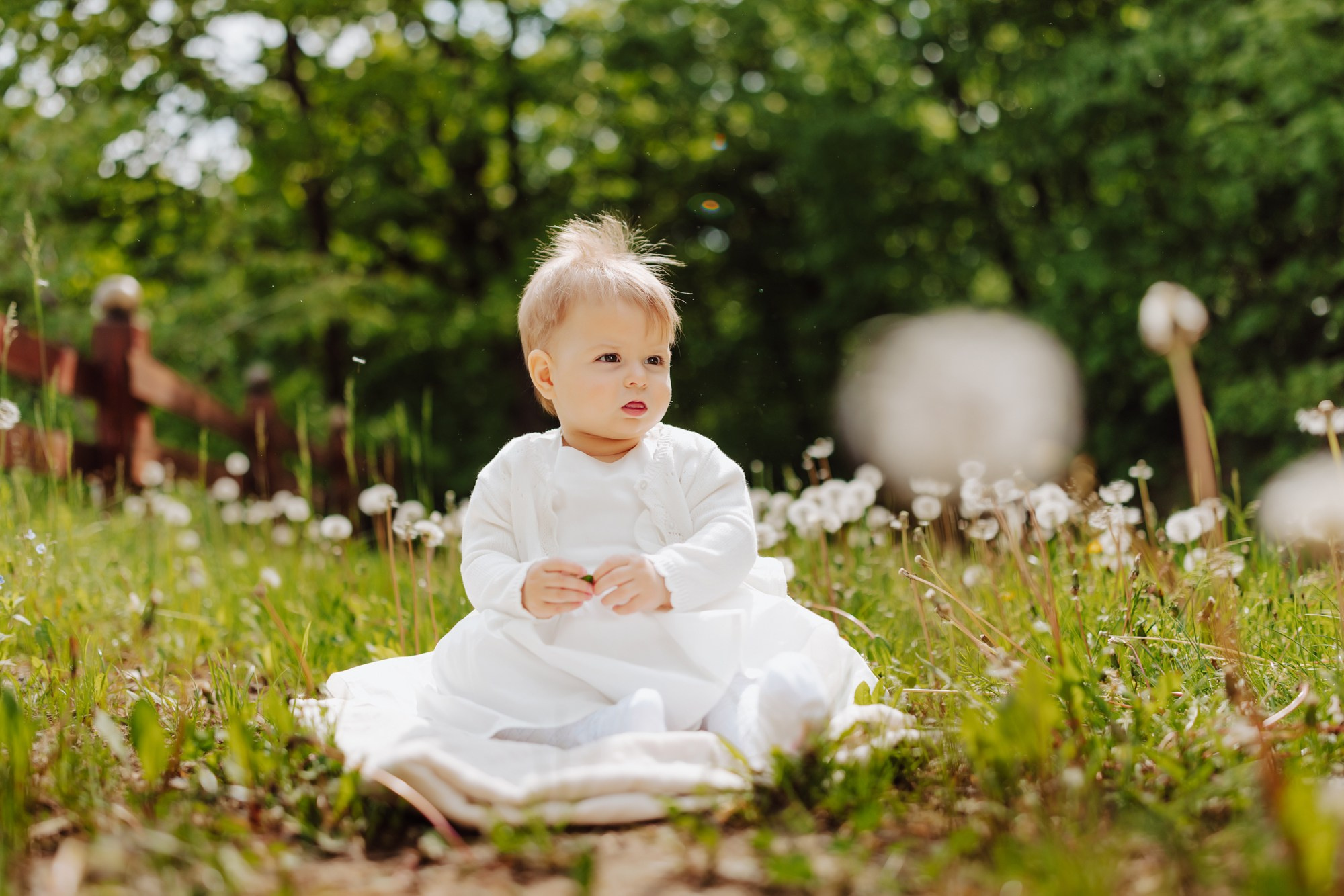 Ilinca. Φωτογράφος και βιντεογράφος γάμου